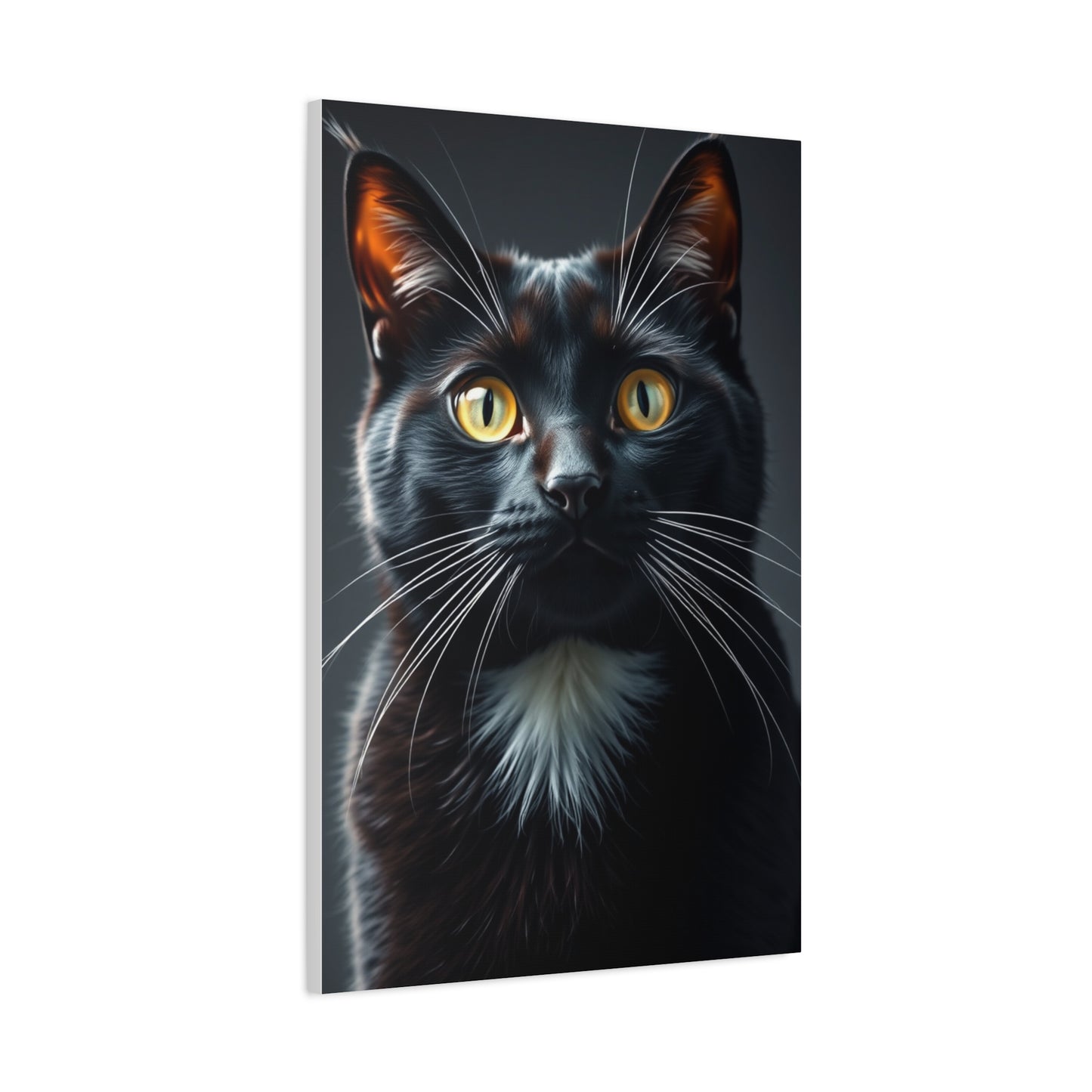 Supreme Tuxedo Cat Art Wall Art & Canvas Print