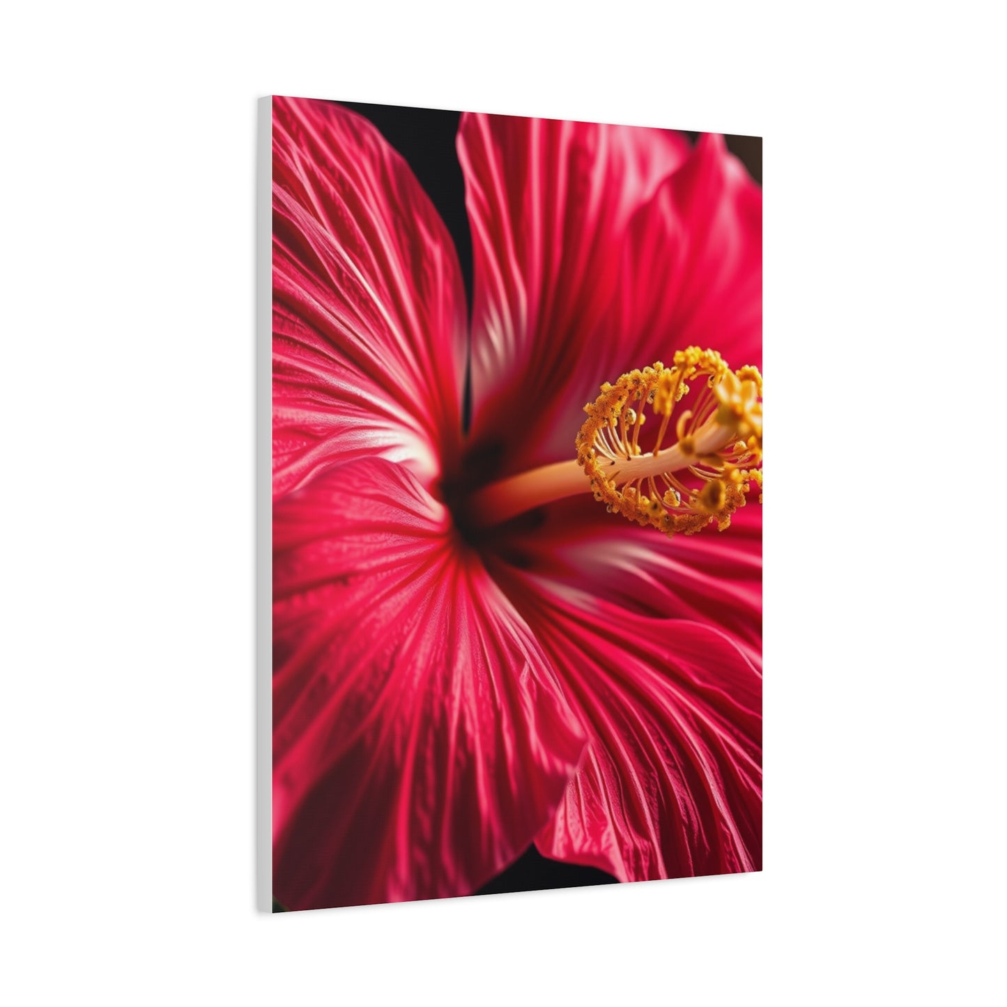 Hibiscus Flower Art Luxury Canvas Wall Art & Canvas Print