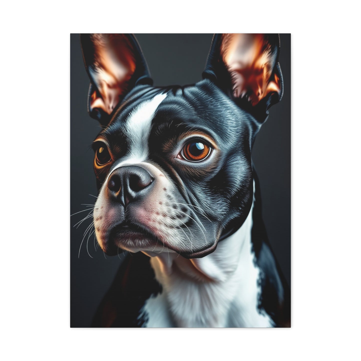Boston Terrier Art Supreme Canvas Gallery Wall Art & Canvas Print