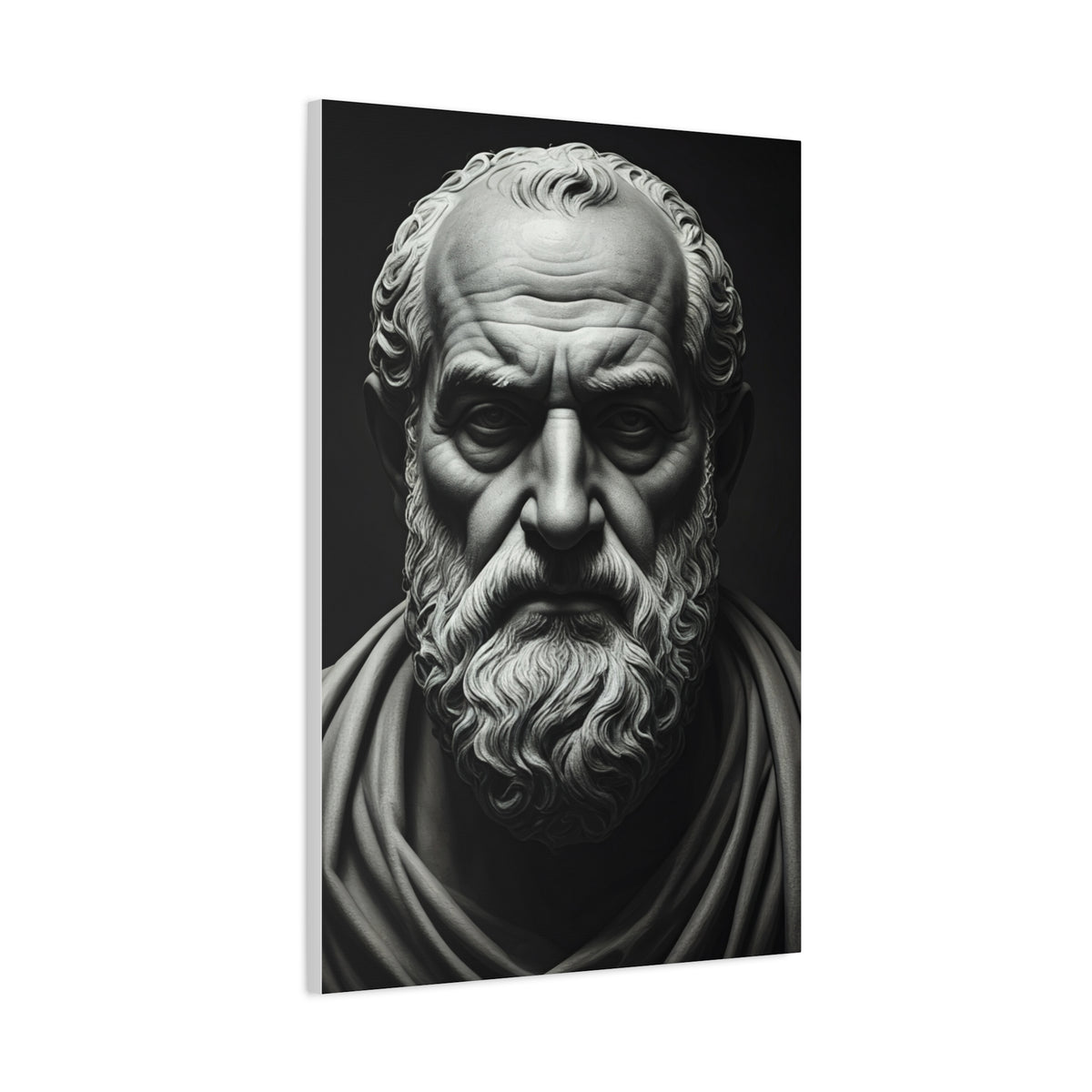 Timeless Wisdom Black & White Elder Portrait Wall Art & Canvas Prints