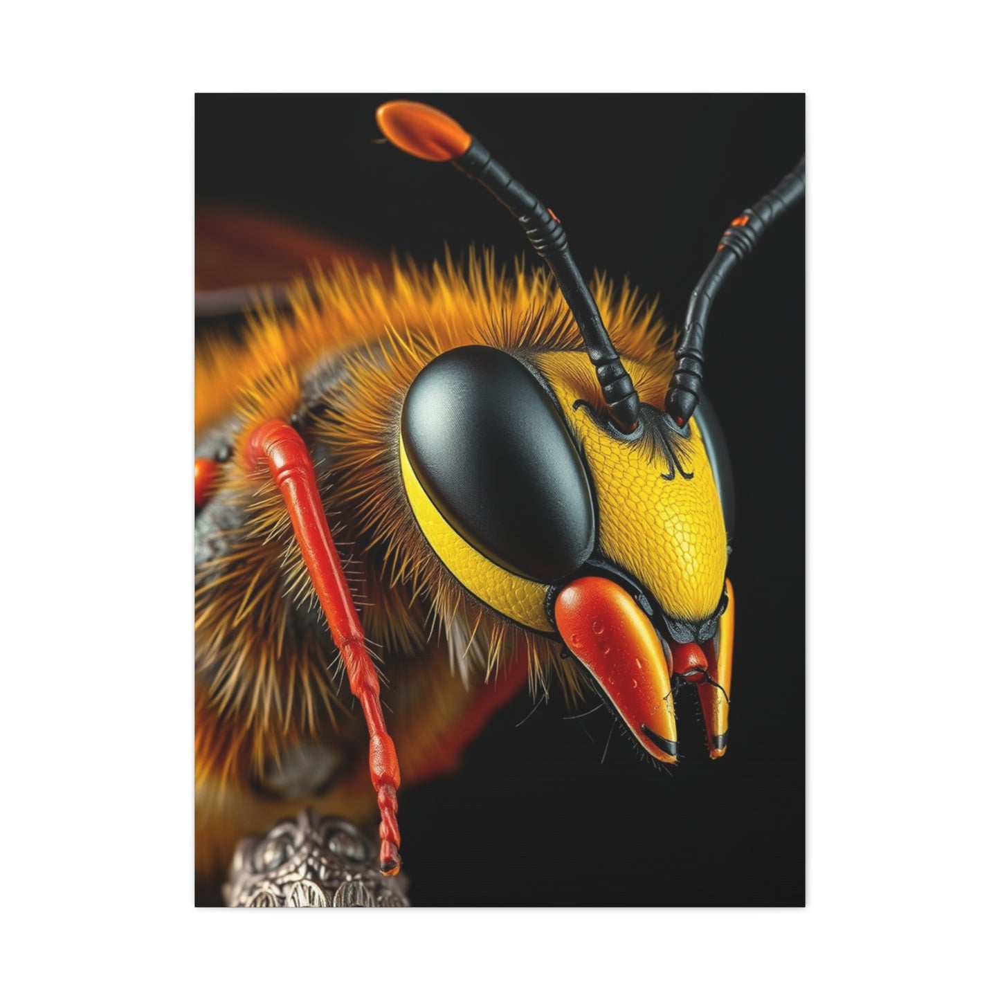 Vision Bees, Hornet & Wasps Art Art Wall Art & Canvas Print