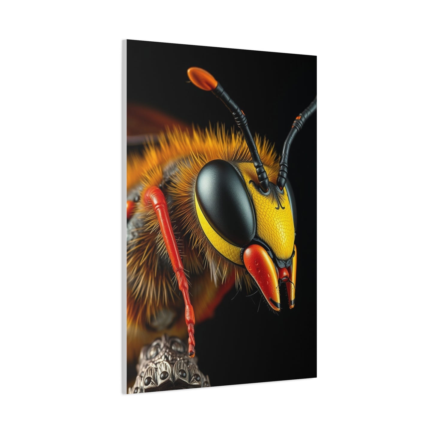 Vision Bees, Hornet & Wasps Art Art Wall Art & Canvas Print
