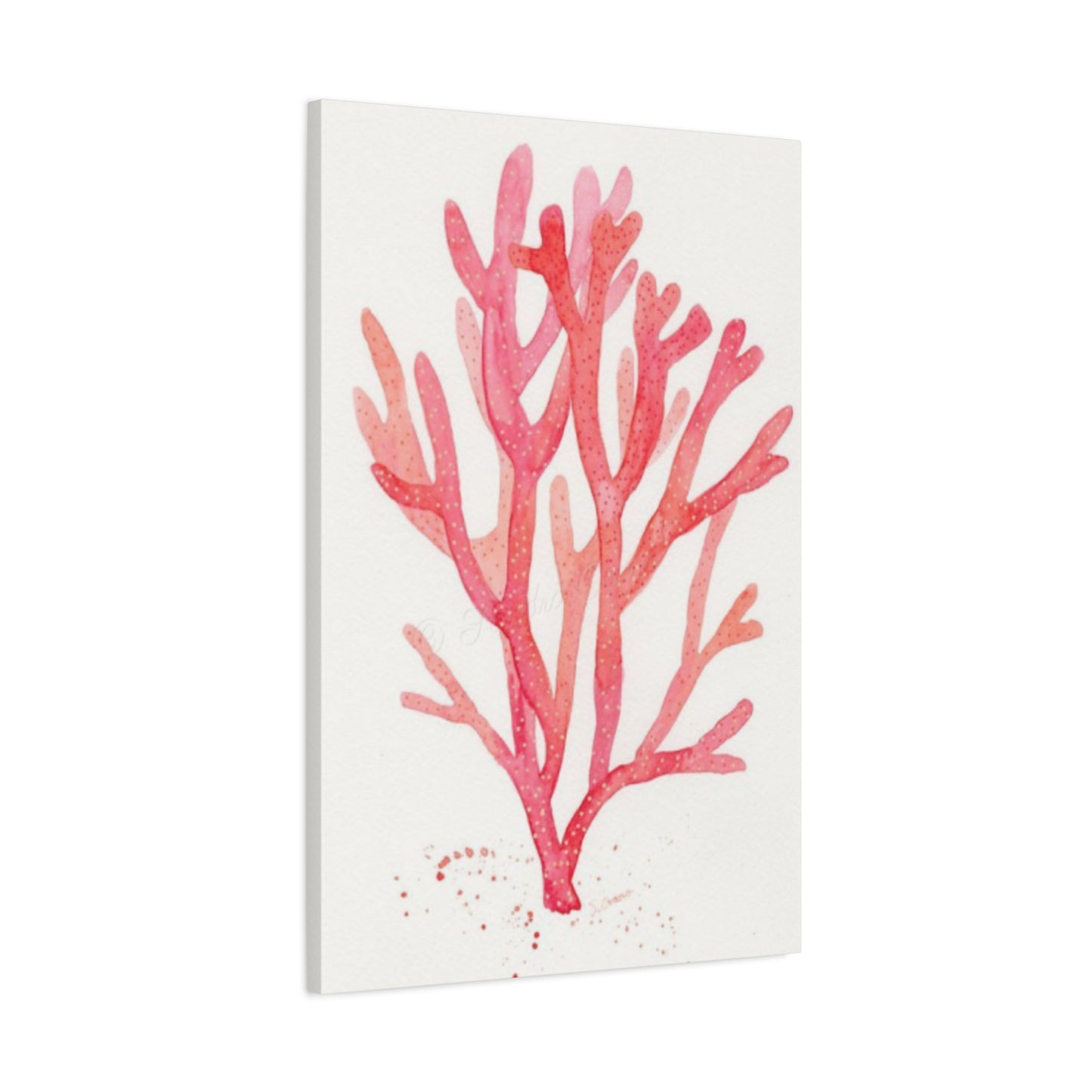 Pink Sea Coral Wall Art & Canvas Prints