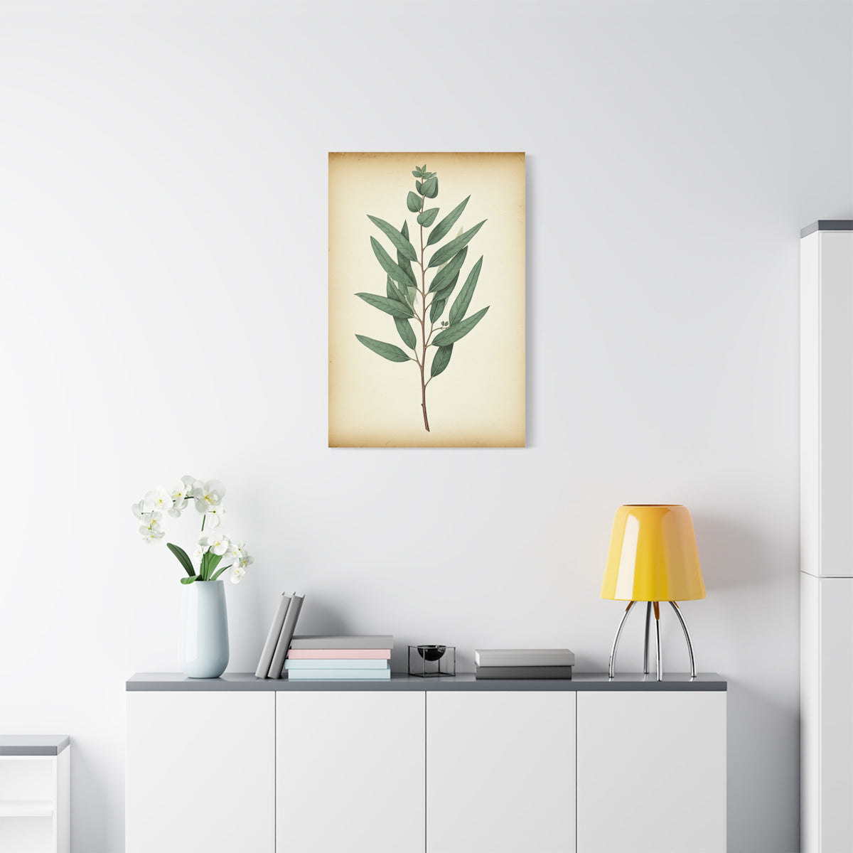 Eucalyptus Branch Illustration Wall Art & Canvas Prints