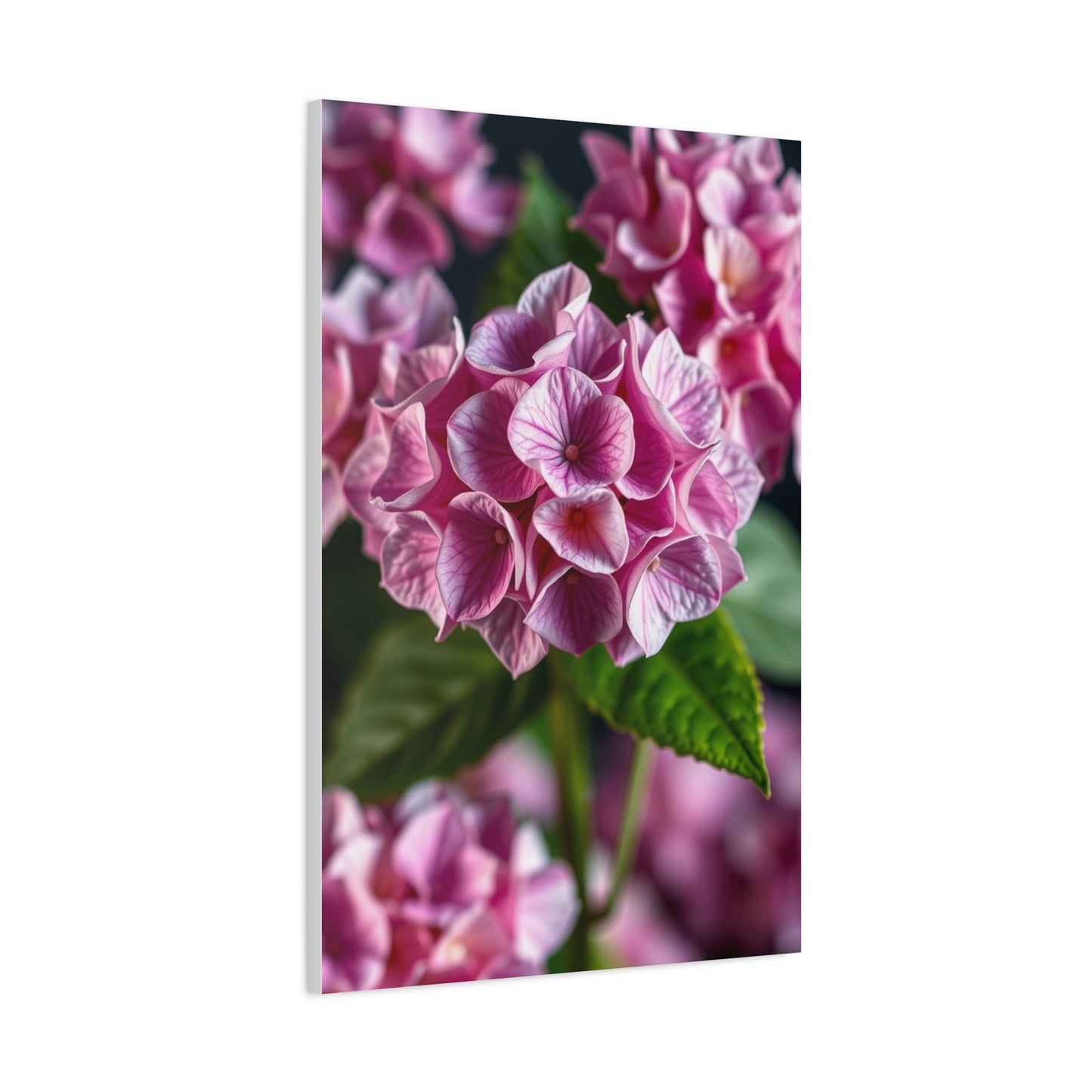 Supreme Hydrangea Flower Art Wall Art & Canvas Print