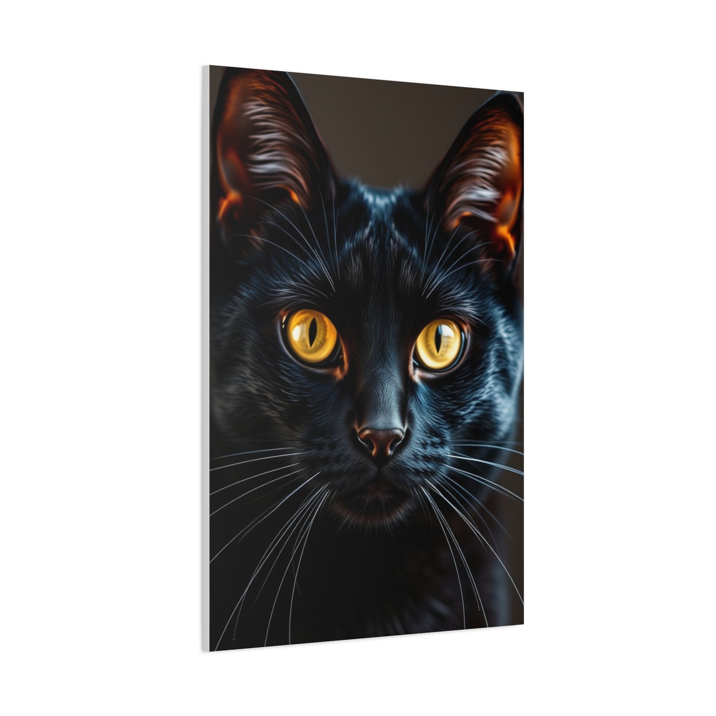 Black Cat Art Luxury Canvas Wall Art & Canvas Print