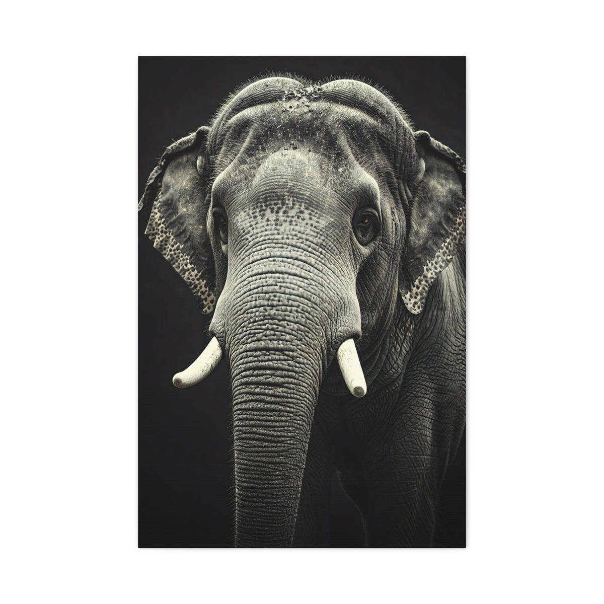Regal Elephant Close-Up Wall Art & Canvas Prints