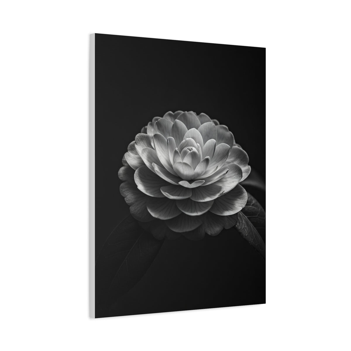 Full Bloom Camellia in Deep Contrast Wall Art & Canvas Prints