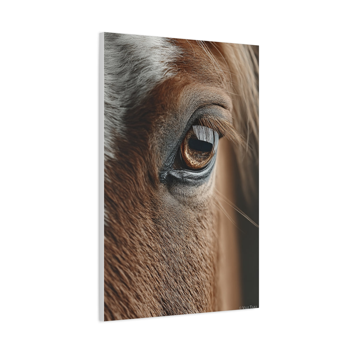 Horse Eye Macro Emotional Detail Wall Art & Canvas Print