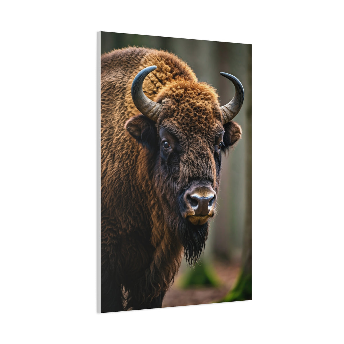 Wood Bison Close-Up with Soft Forest Backdrop Wall Art & Canvas Print