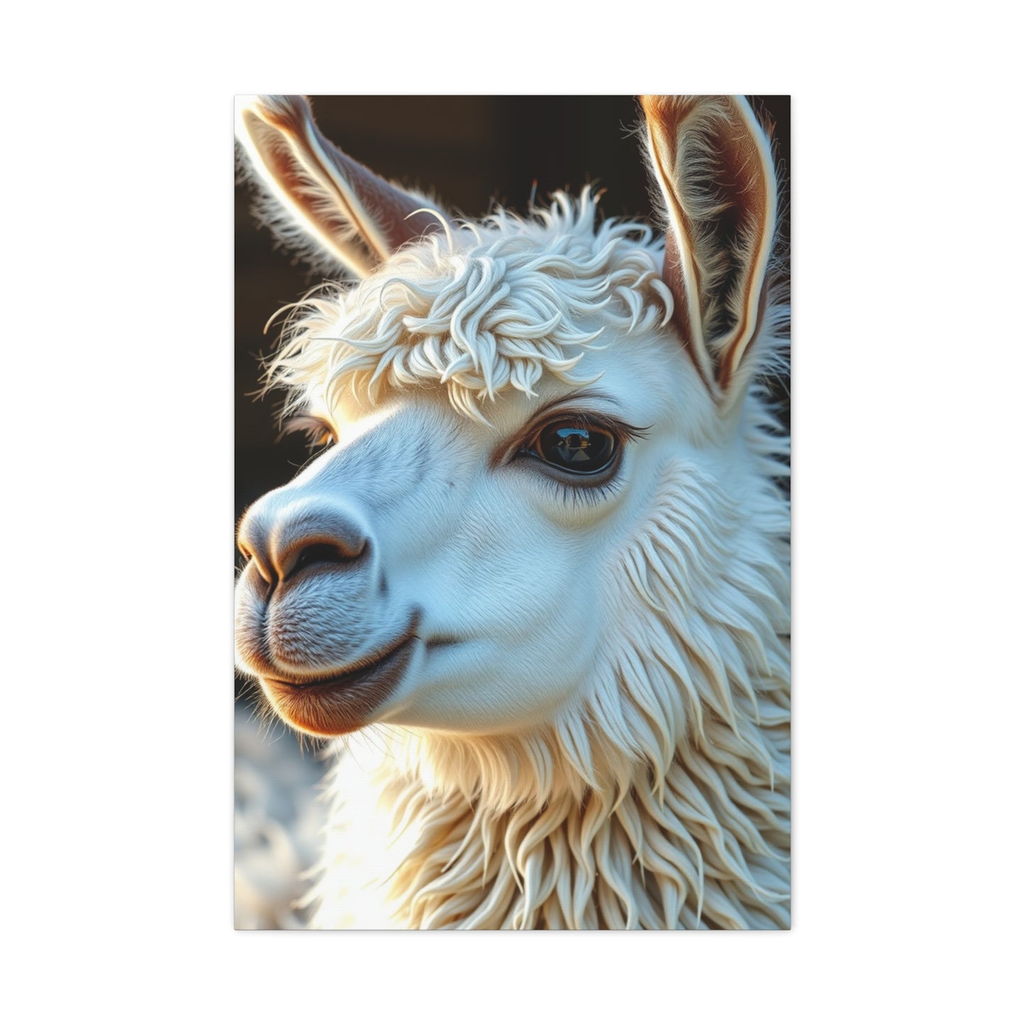 Llama & Alpaca Art Luxury Canvas Wall Art & Canvas Print