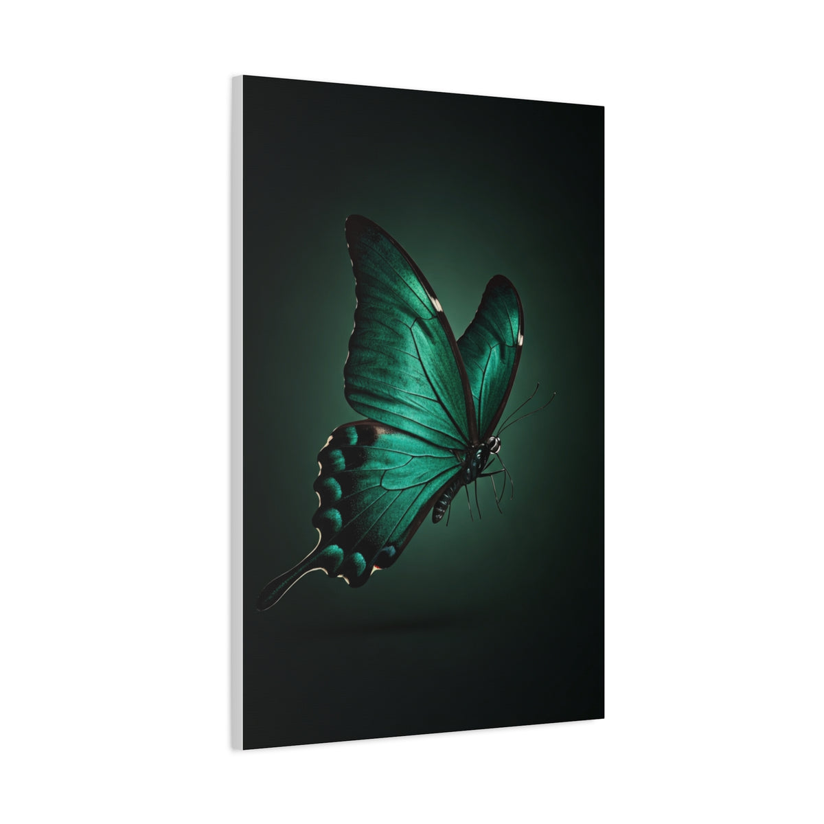 Emerald Swallowtail Butterfly in Shadow Light Wall Art & Canvas Prints