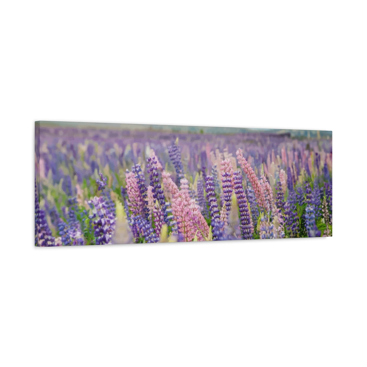 Lavender Wall Art & Canvas Prints