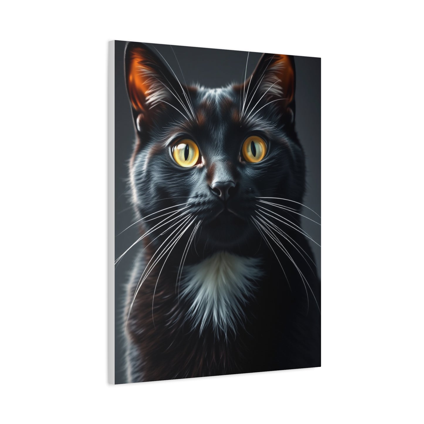 Supreme Tuxedo Cat Art Wall Art & Canvas Print