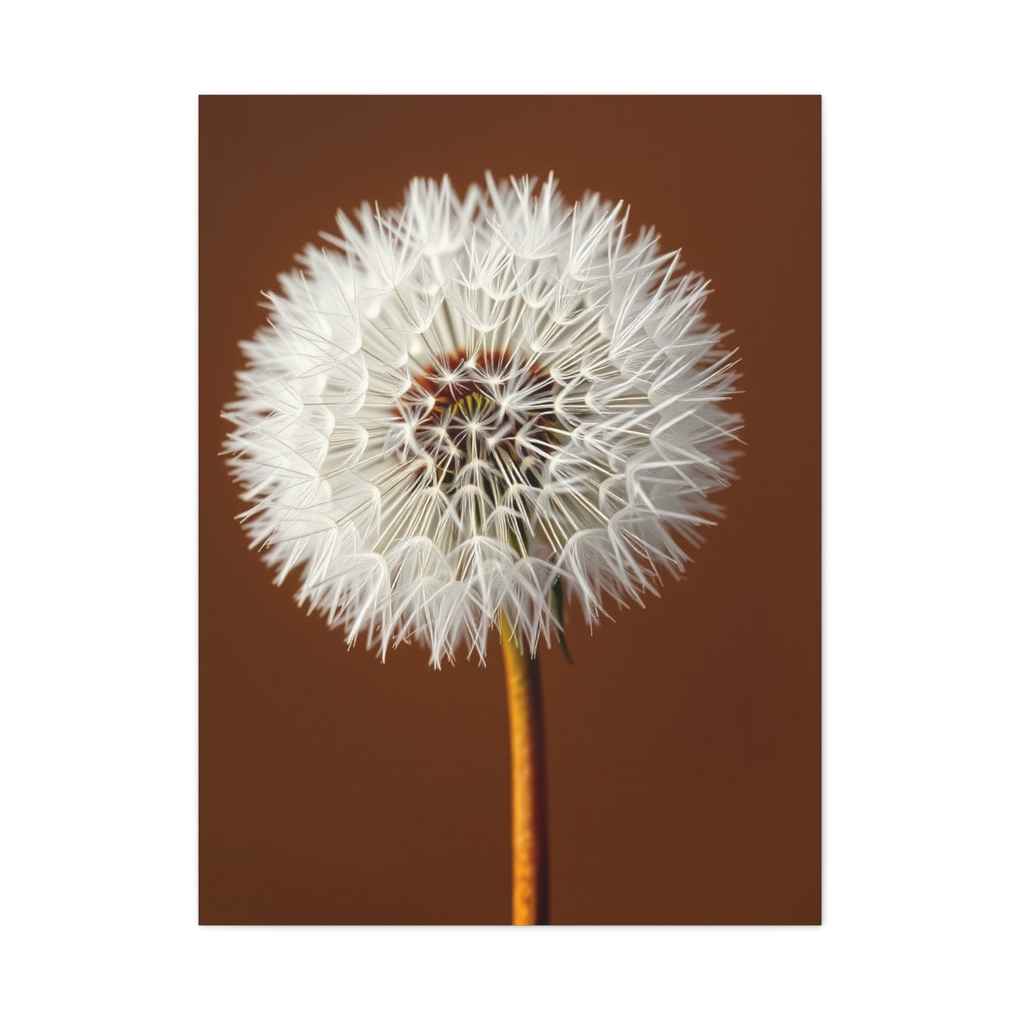 Supreme Dandelion Flower Art Wall Art & Canvas Print