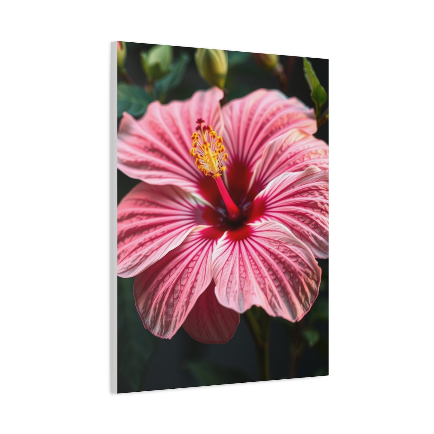 Supreme Hibiscus Flower Art Wall Art & Canvas Print