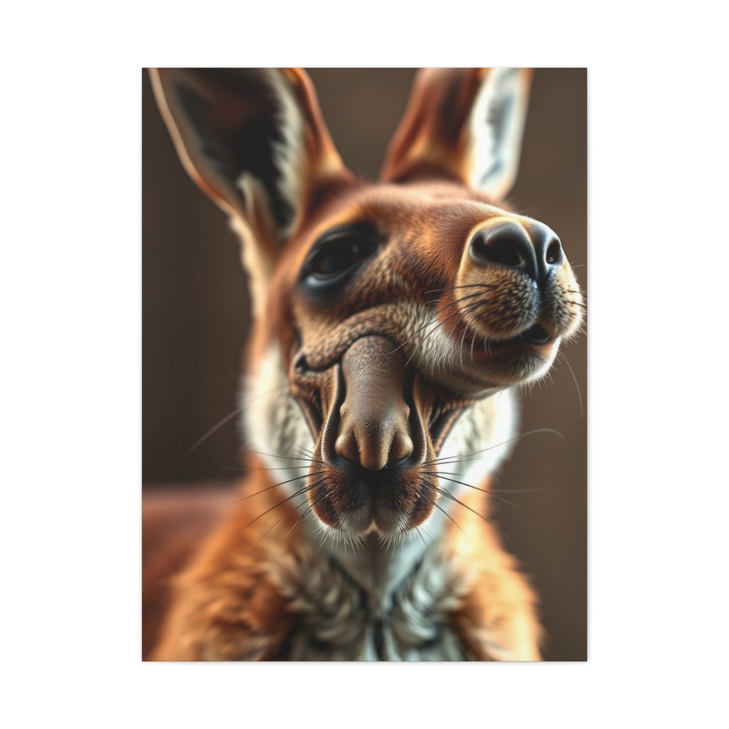Supreme Kangaroo Art Wall Art & Canvas Print