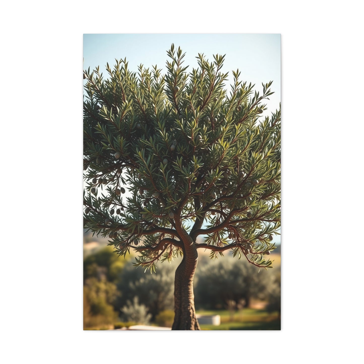 Supreme Olive Tree Art Wall Art & Canvas Print