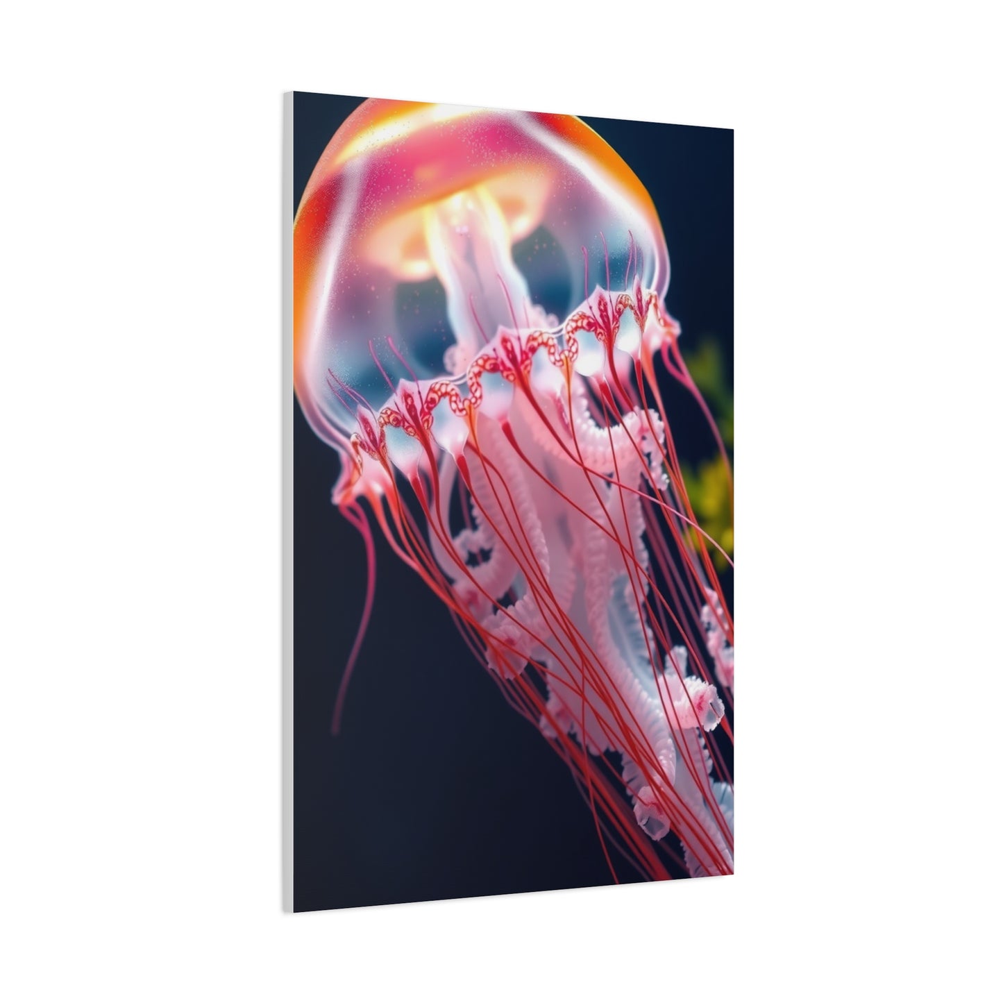 Supreme Jellyfish Collection Wall Art & Canvas Print
