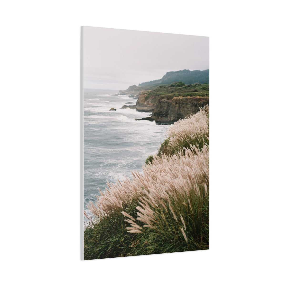 Wind Swept Coastal Cliffs Above the Ocean Wall Art & Canvas Print