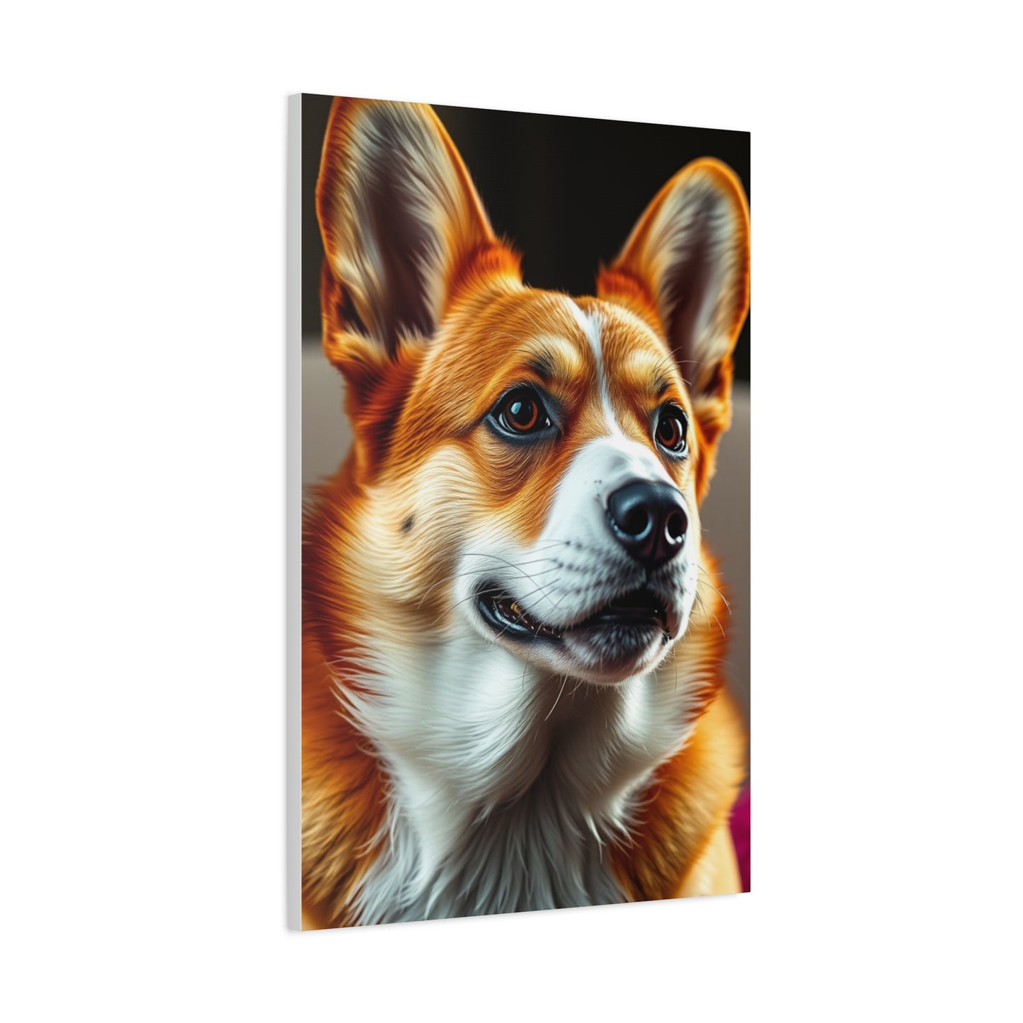 Supreme Corgi Dog Art Collection Wall Art & Canvas Print