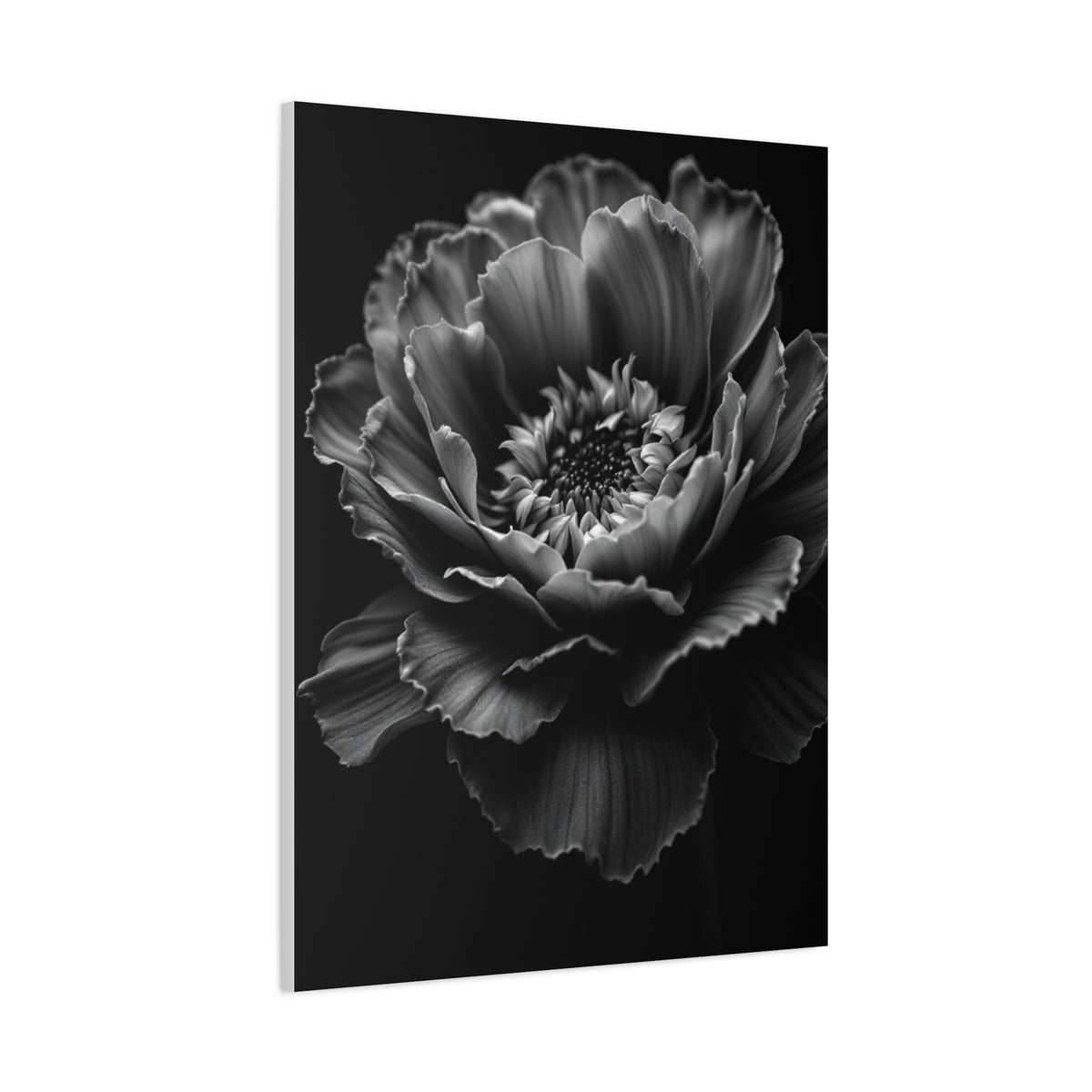 Layered Peony in Soft Shadow Wall Art & Canvas Prints