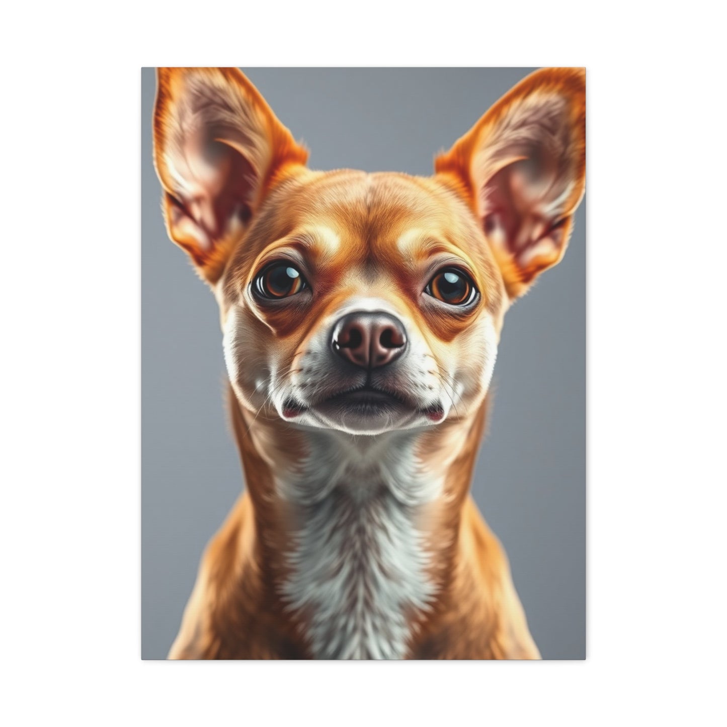Supreme Chihuahua Dog Art Wall Art & Canvas Print