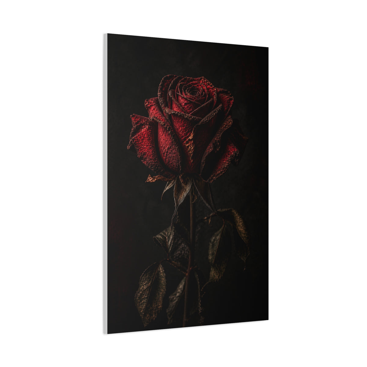 Dark Crimson Rose Still Life Wall Art & Canvas Print