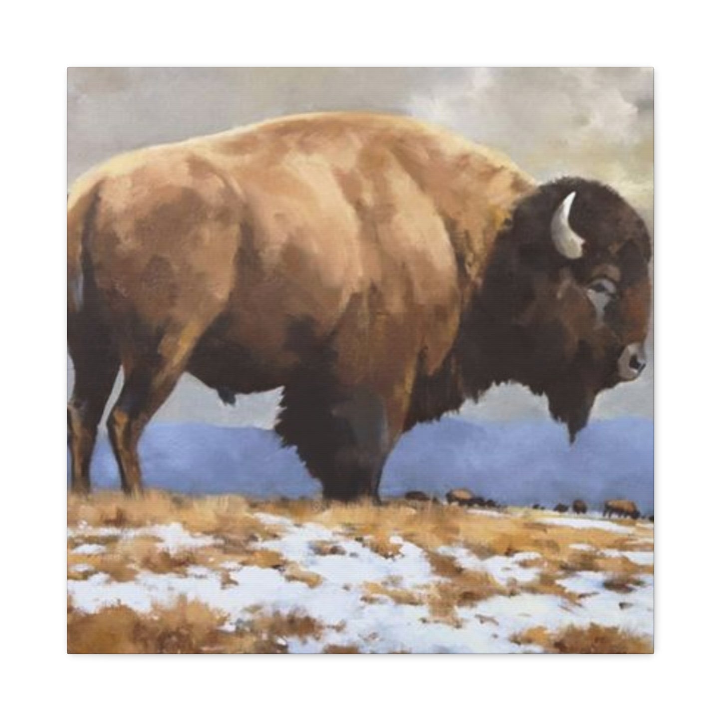 Old Bison Wall Art & Canvas Prints