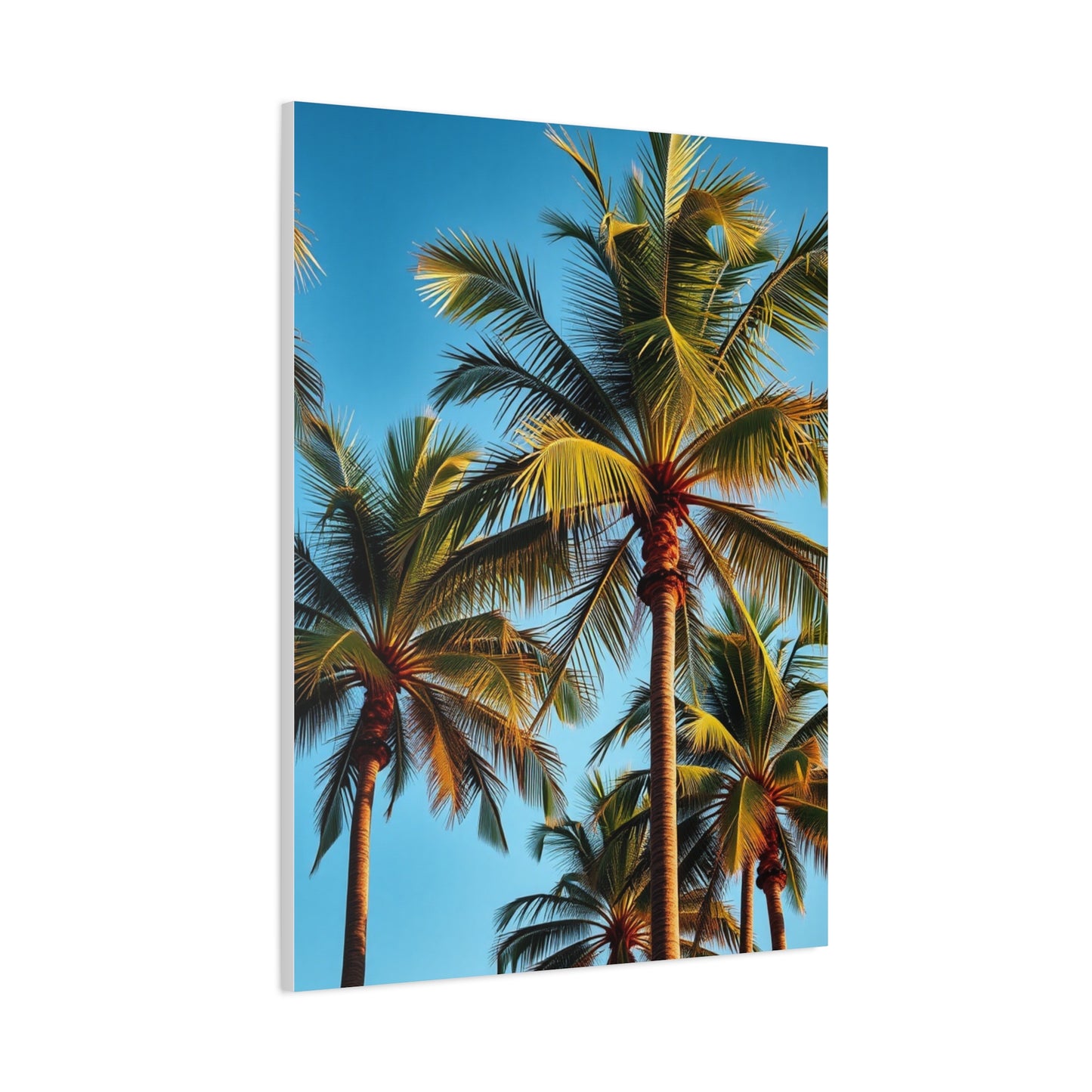 Tranquil Palmscape Wall Art & Canvas Print