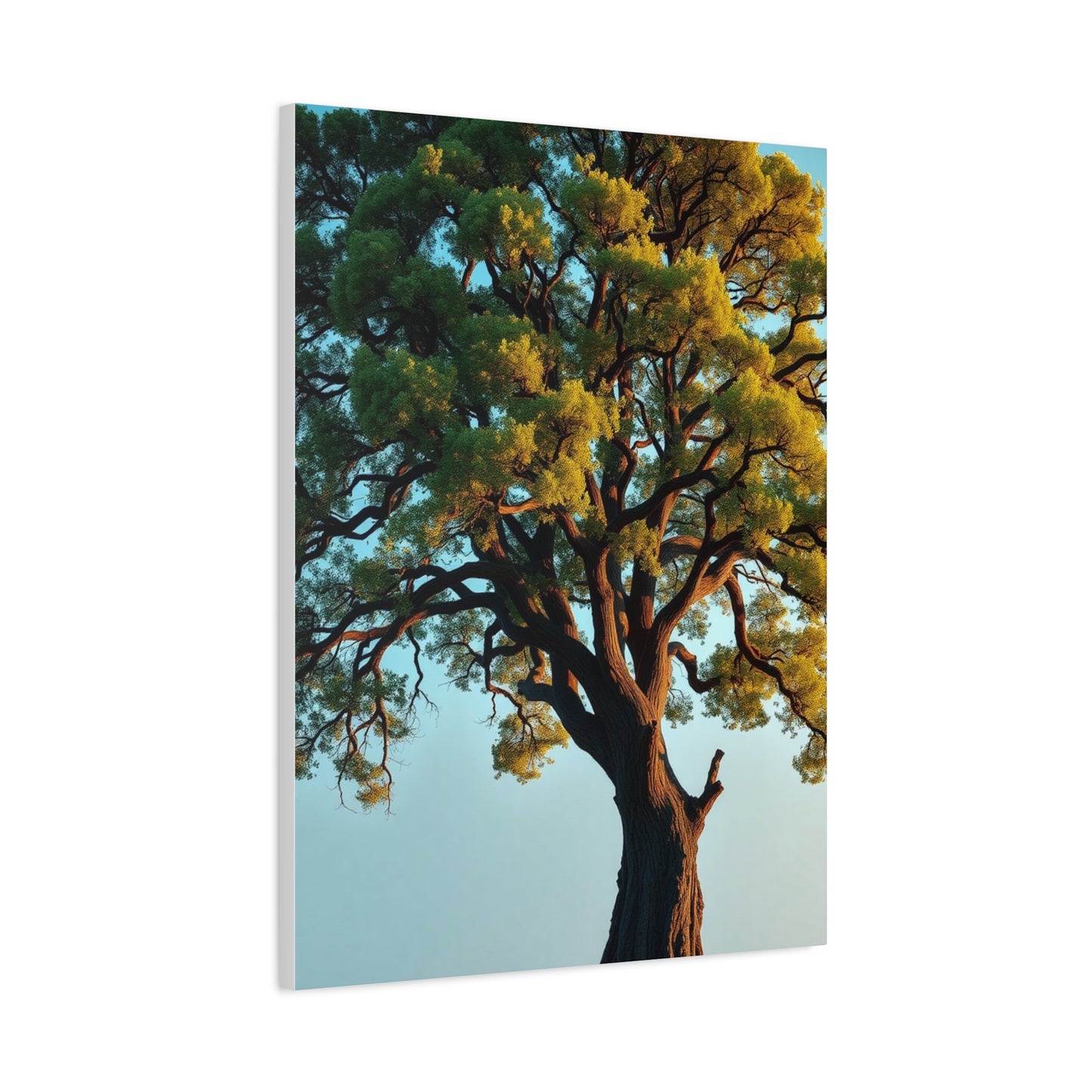 Oak Tree Art Supreme Canvas Wall Art & Canvas Print