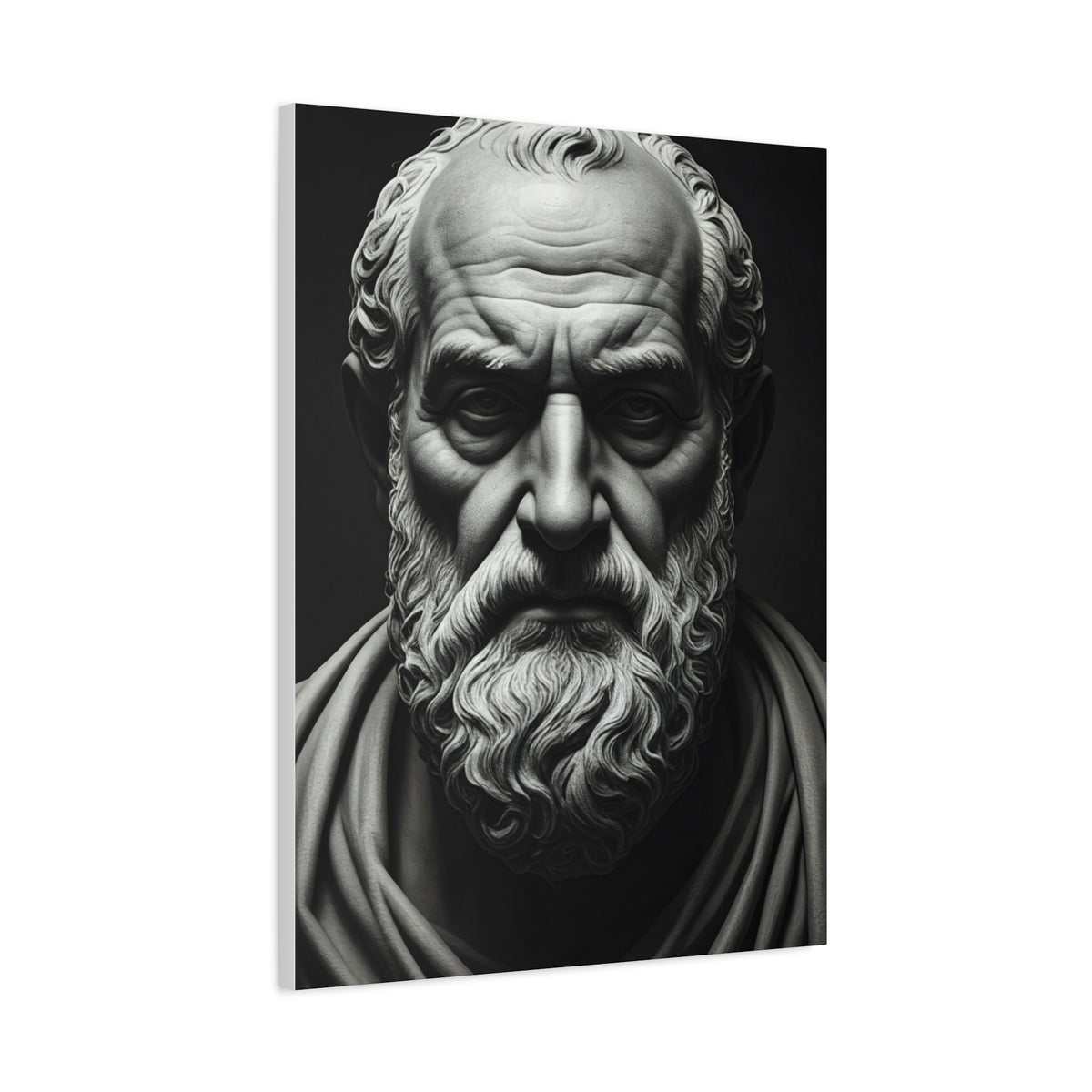 Timeless Wisdom Black & White Elder Portrait Wall Art & Canvas Prints