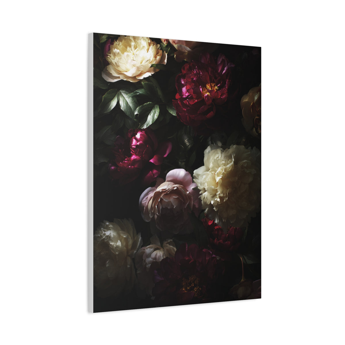 Luminous Peonies on Dark Background Wall Art & Canvas Print