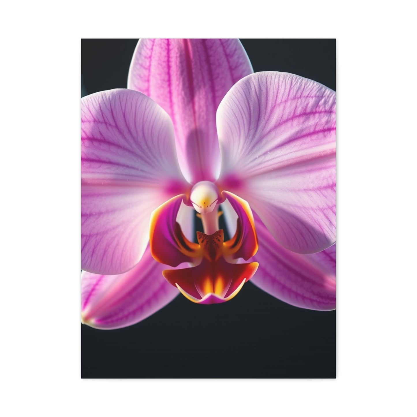 Supreme Orchid Flower Art Wall Art & Canvas Print