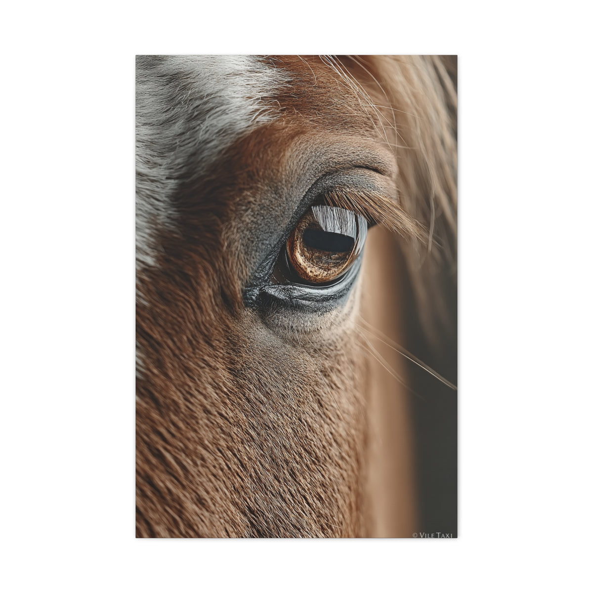 Horse Eye Macro Emotional Detail Wall Art & Canvas Print