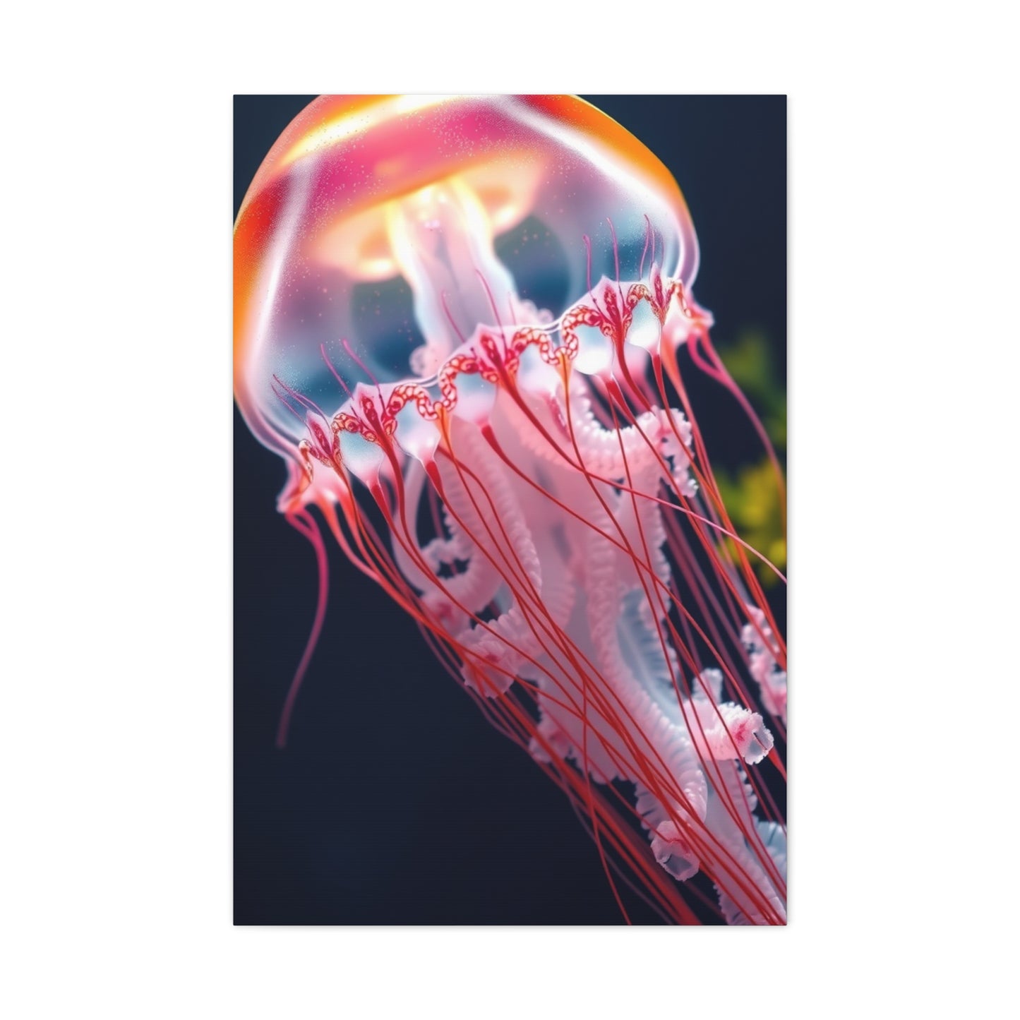 Supreme Jellyfish Collection Wall Art & Canvas Print