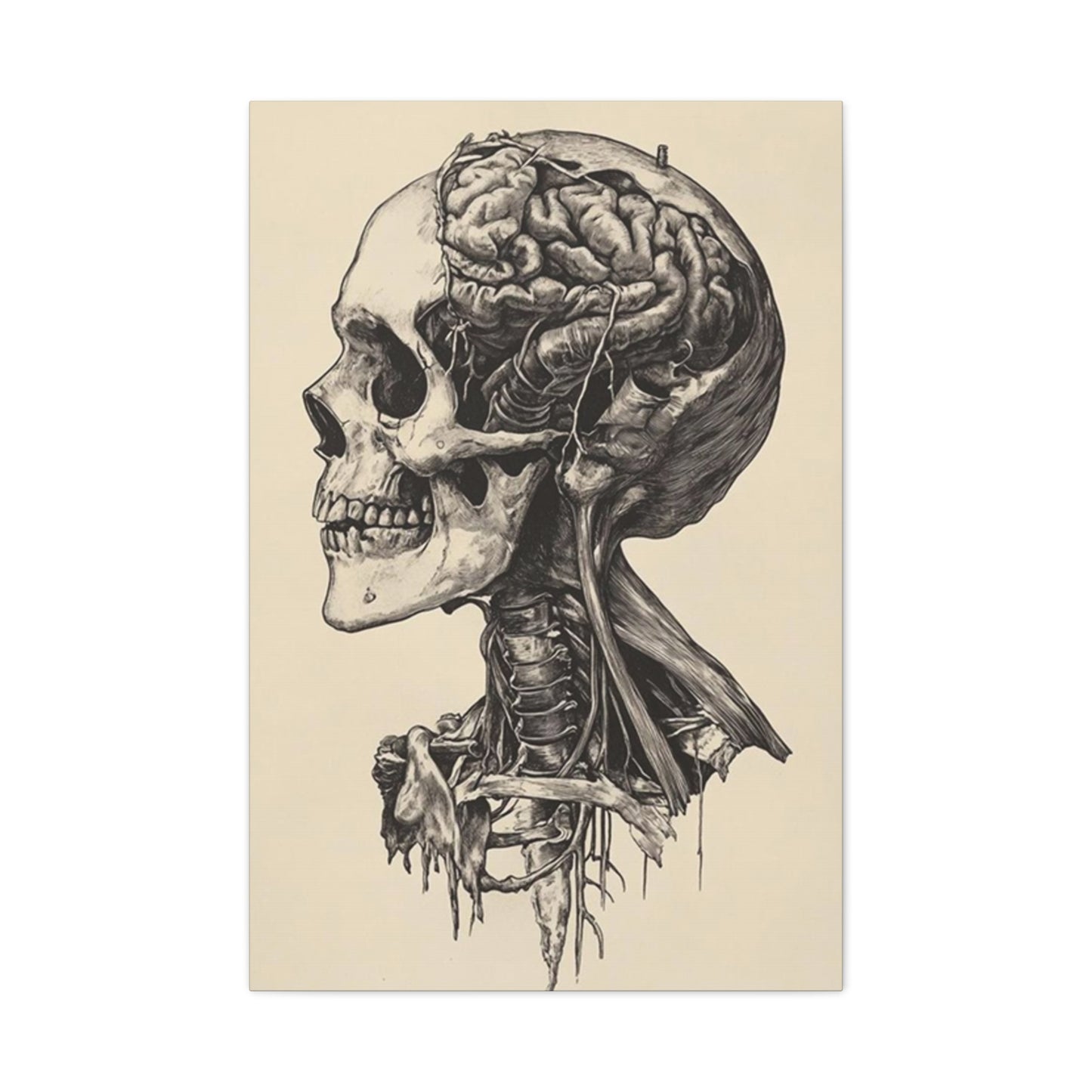 Brain In Skull Wall Art & Canvas Prints