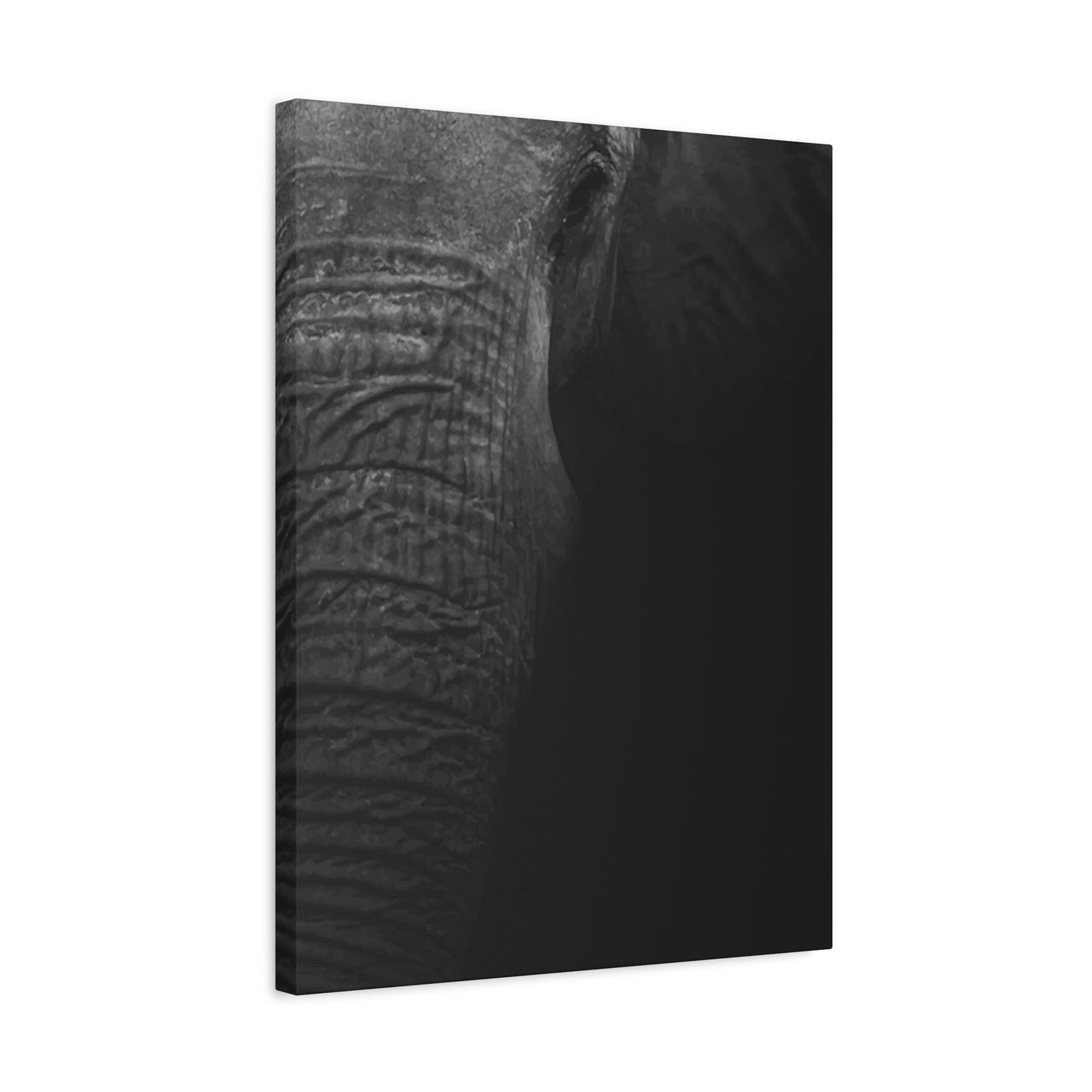 Elephant Wall Art & Canvas Prints