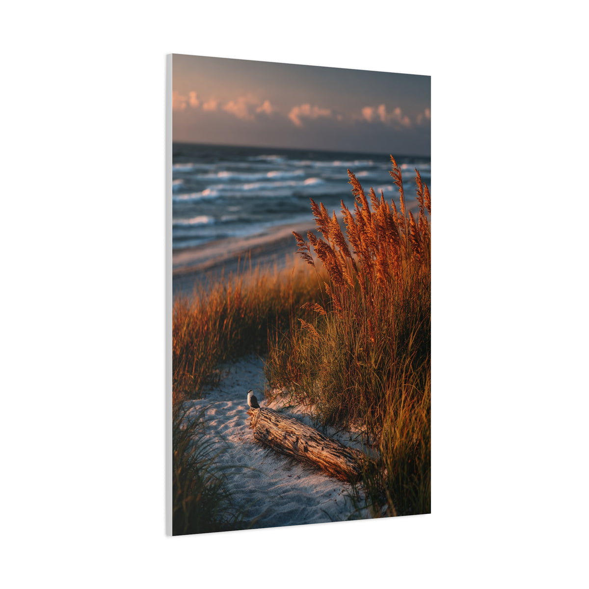 Golden Dune Driftwood Coastal Scene Wall Art & Canvas Print