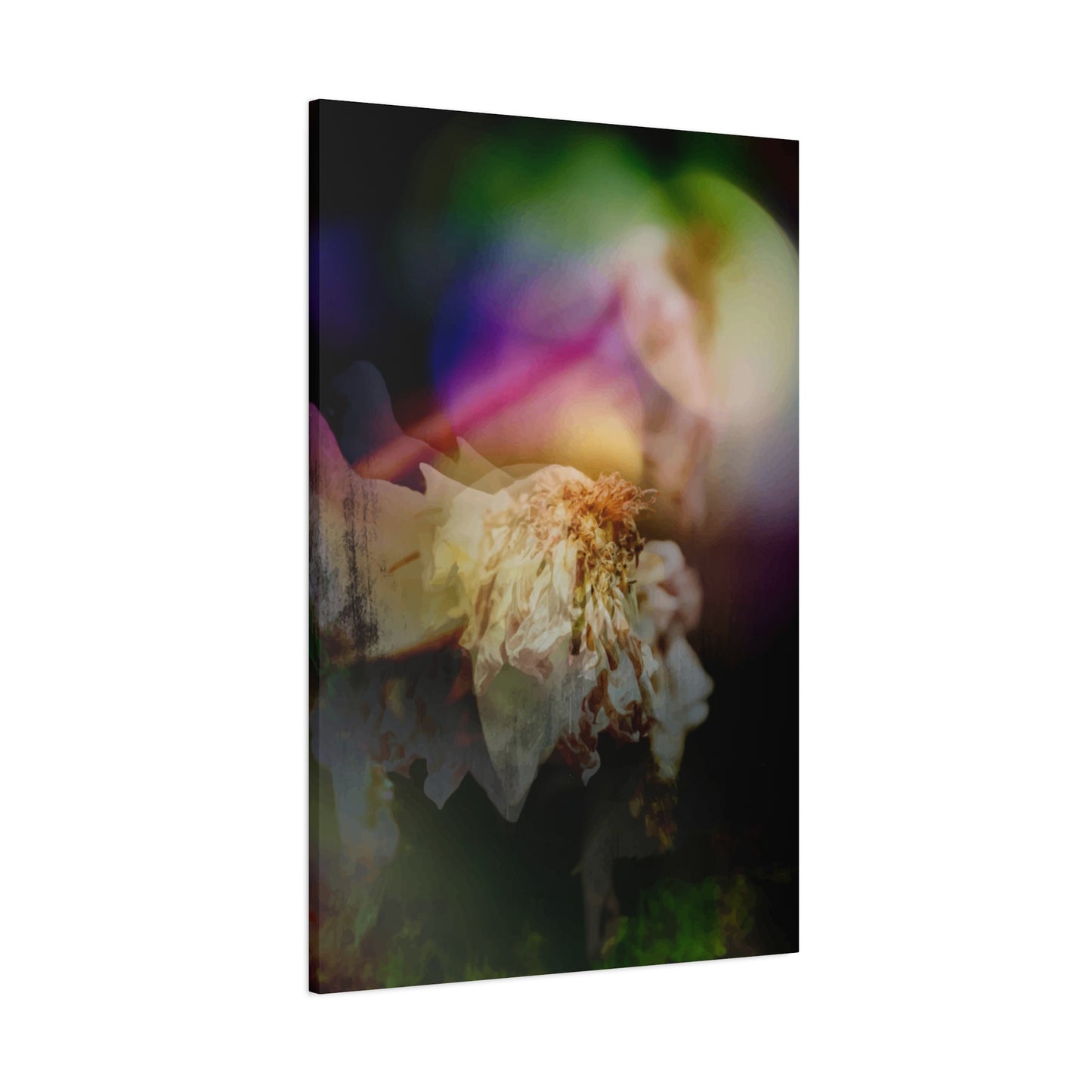 Valda's Wall Art & Canvas Prints