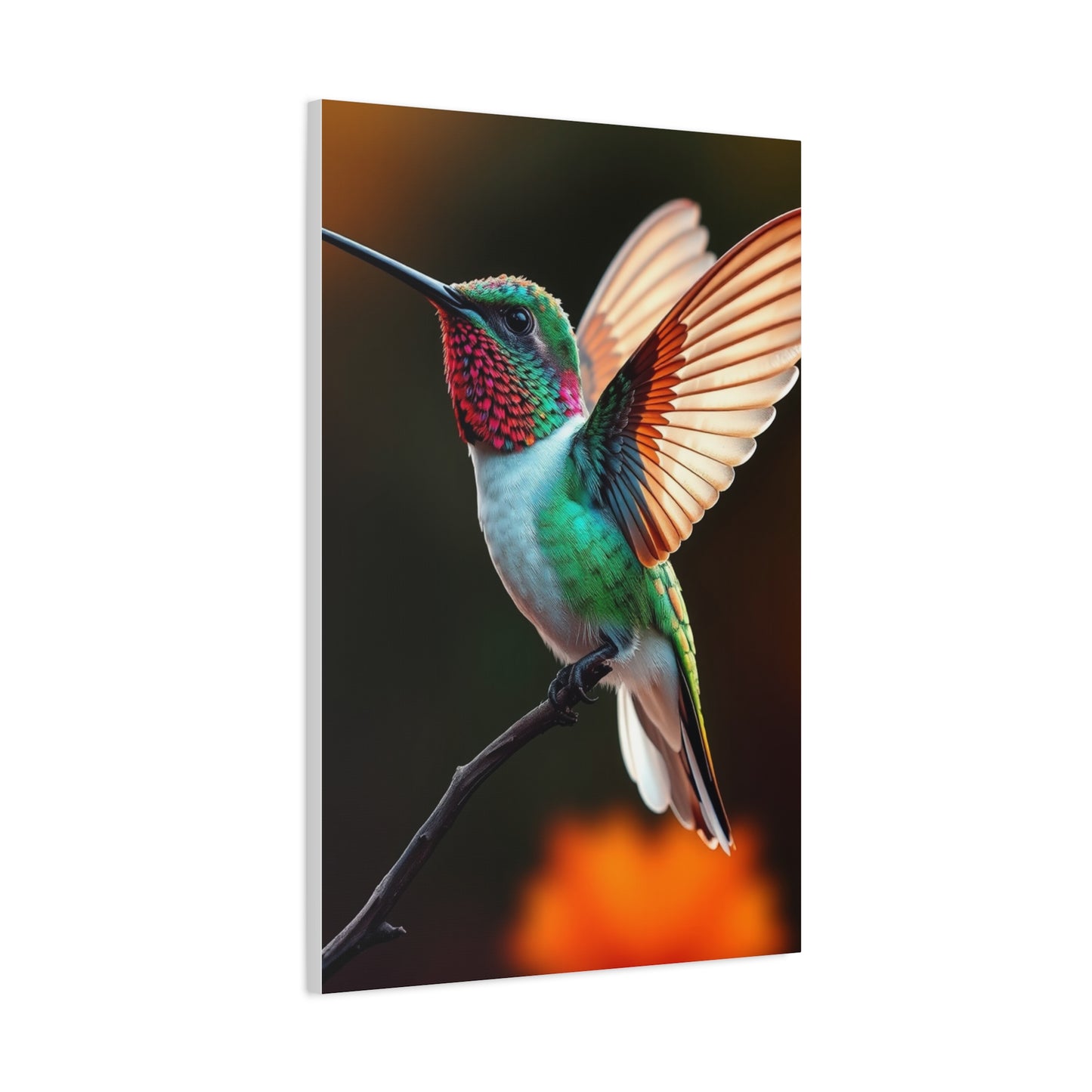 Humming Bird Art Luxury Canvas Wall Art & Canvas Print