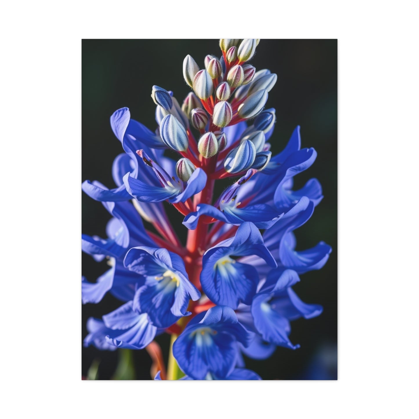 Bluebonnet Flower Art Supreme Canvas Wall Art & Canvas Print