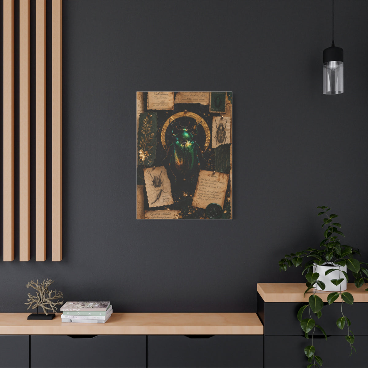 Cabinet of Curiosities Insect Study Wall Art & Canvas Print