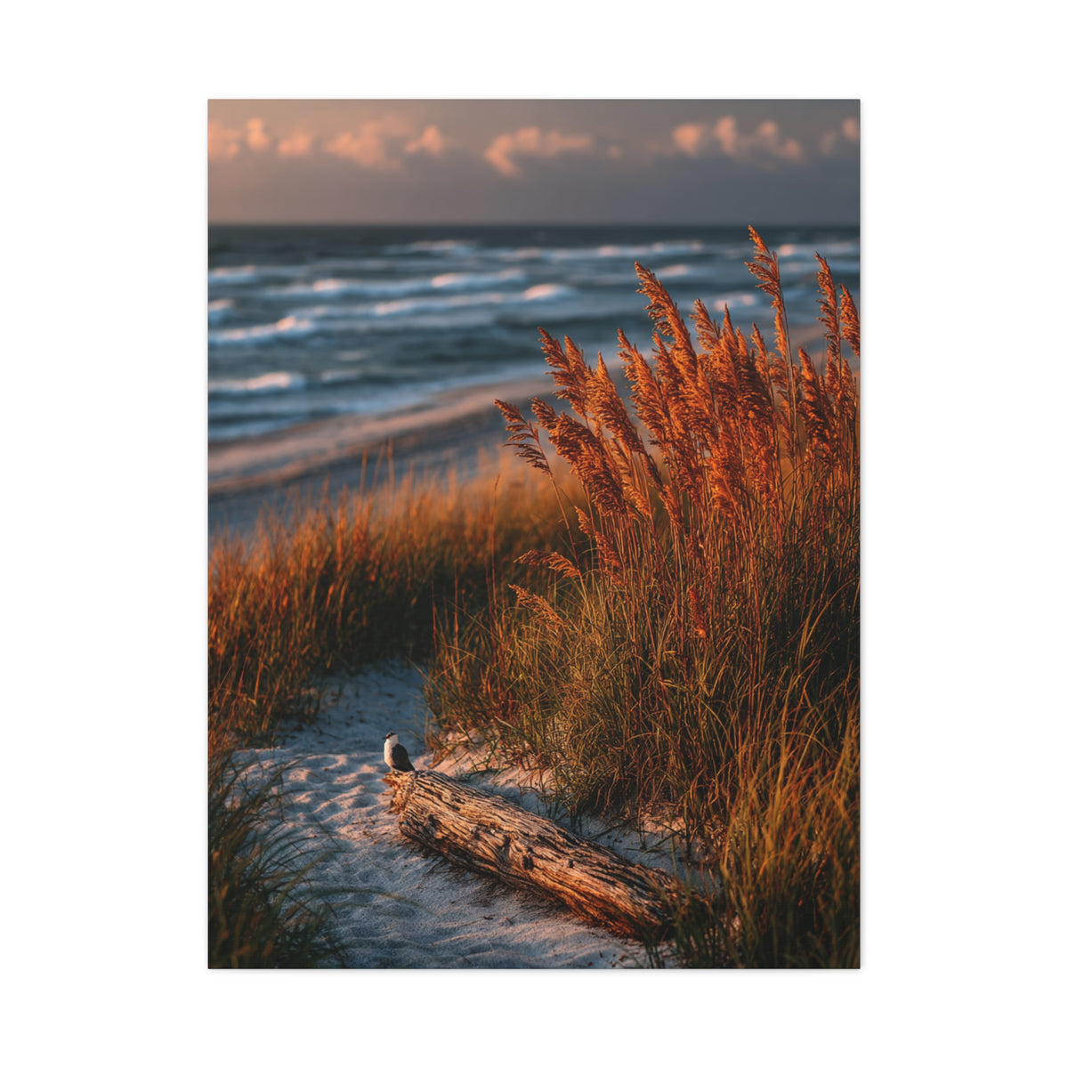 Golden Dune Driftwood Coastal Scene Wall Art & Canvas Print