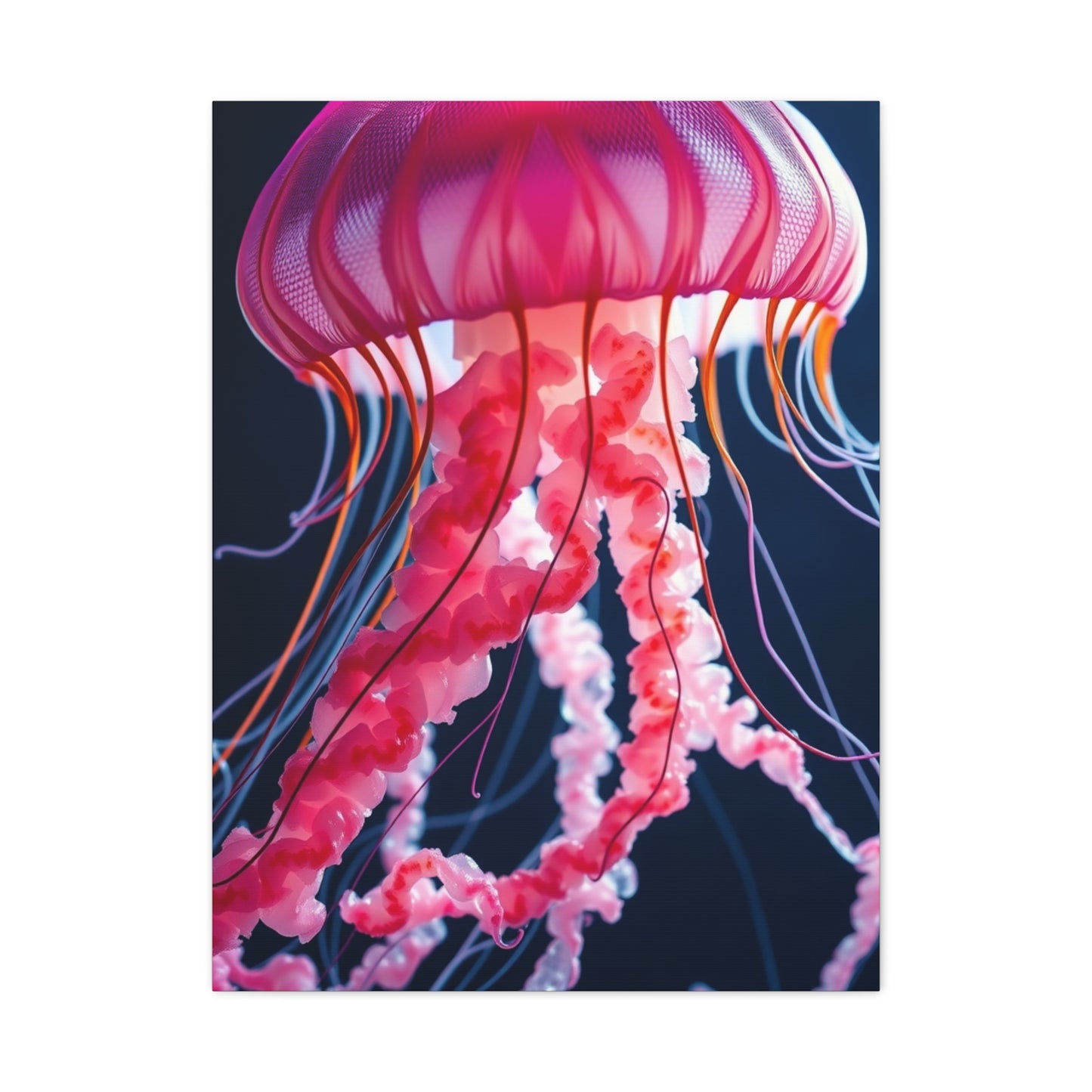 Jellyfish Art Supreme Canvas Gallery Wall Art & Canvas Print