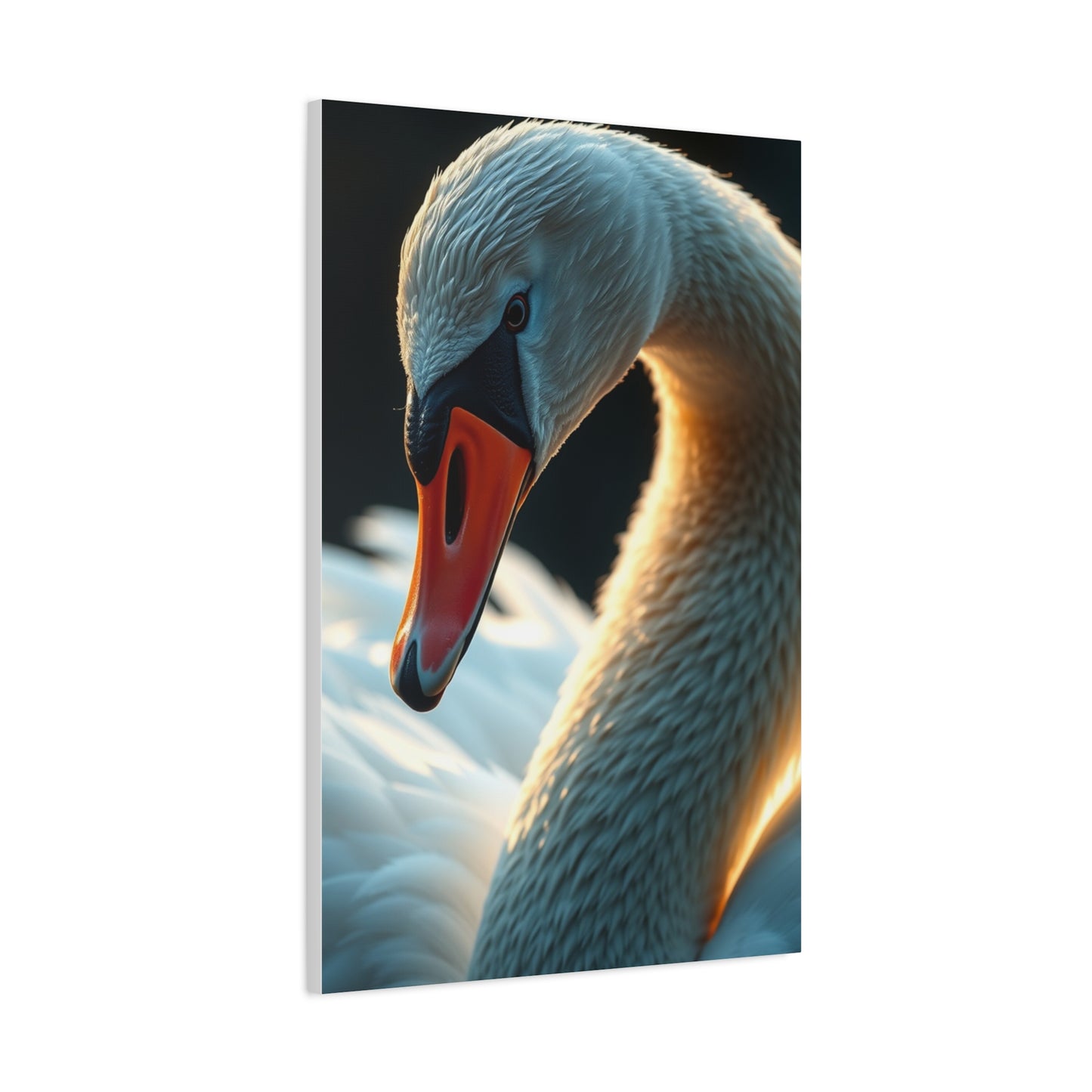 Supreme Swan Art Collection Wall Art & Canvas Print