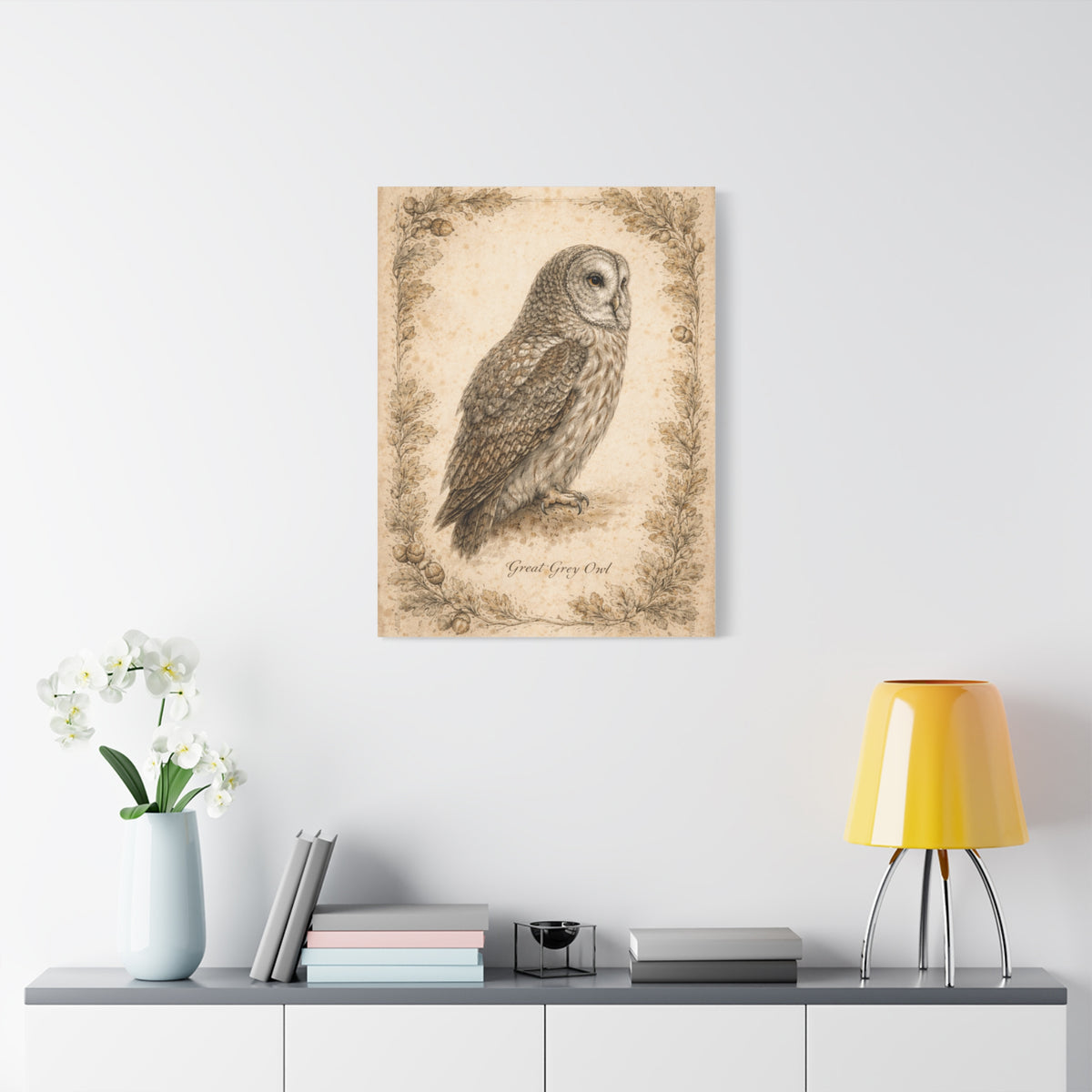 Antique Natural History Owl Study Wall Art & Canvas Print