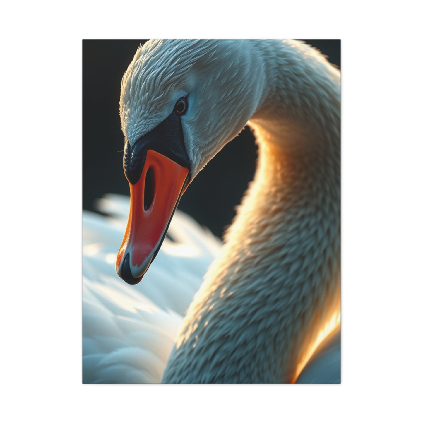 Supreme Swan Art Collection Wall Art & Canvas Print