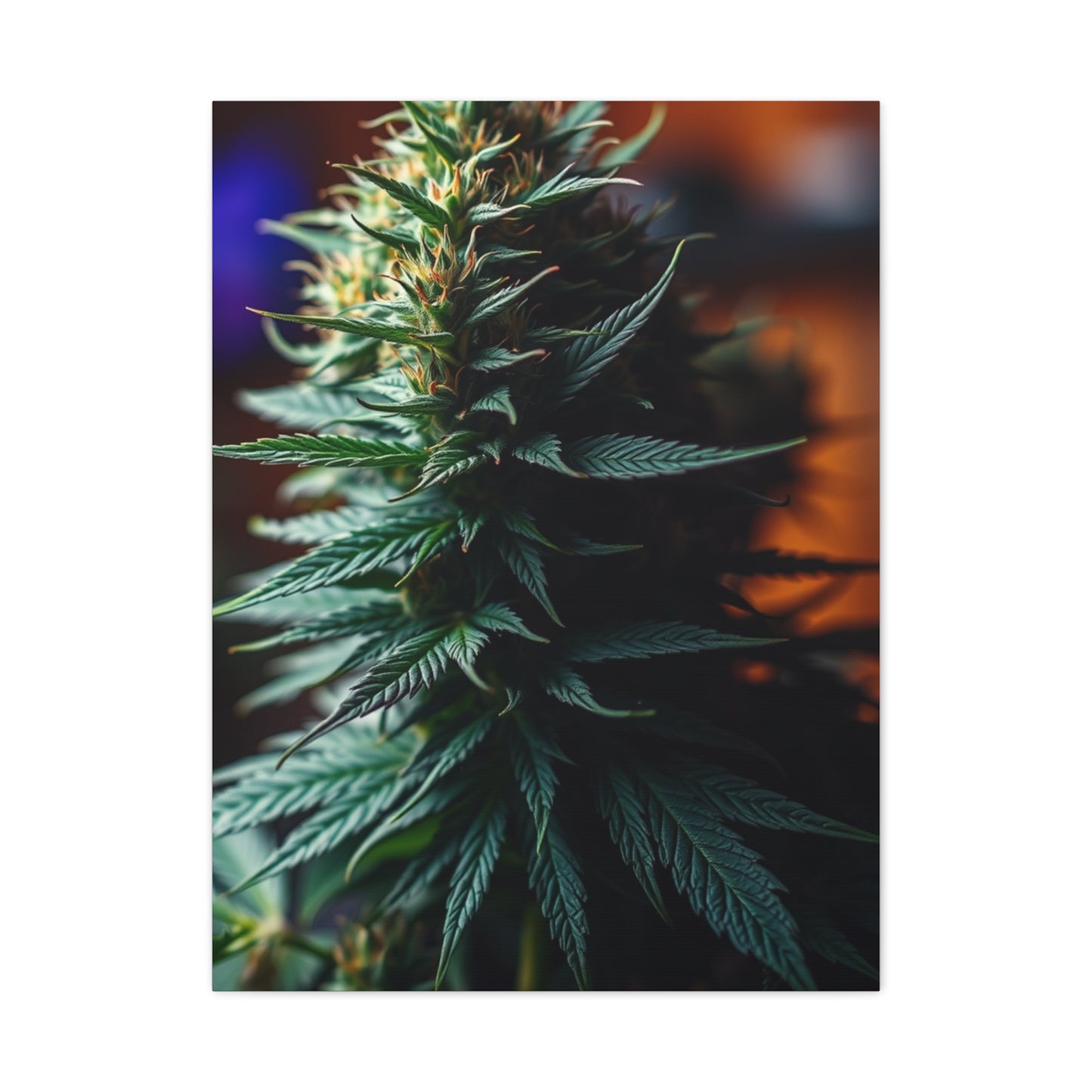 Herbal Opulence Wall Décor Wall Art & Canvas Print