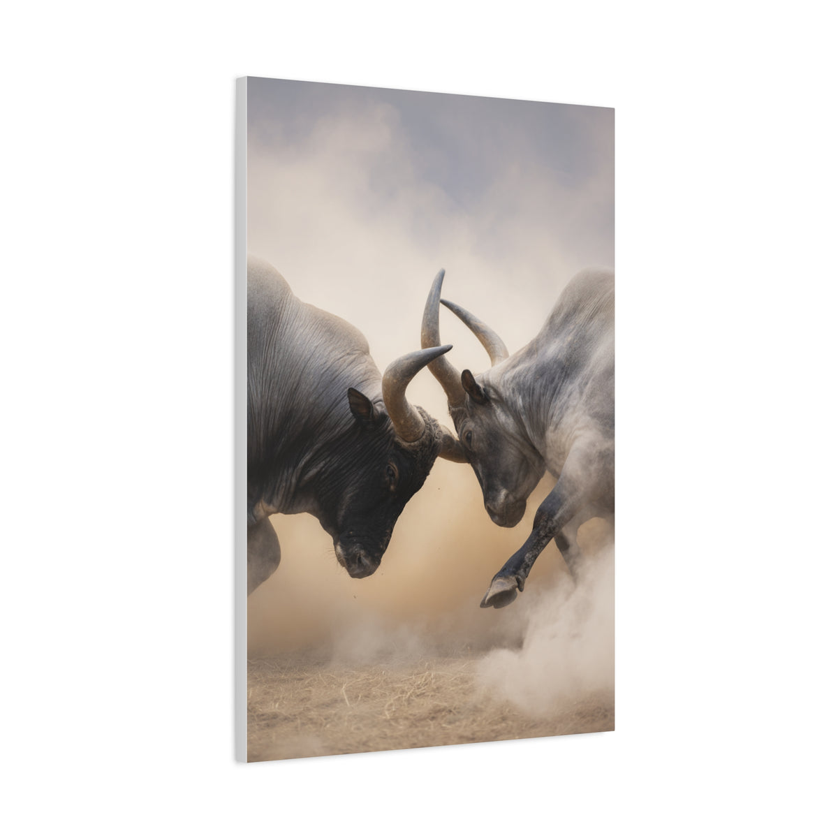 Bulls Clashing Horns Dramatic Wildlife Wall Art & Canvas Print